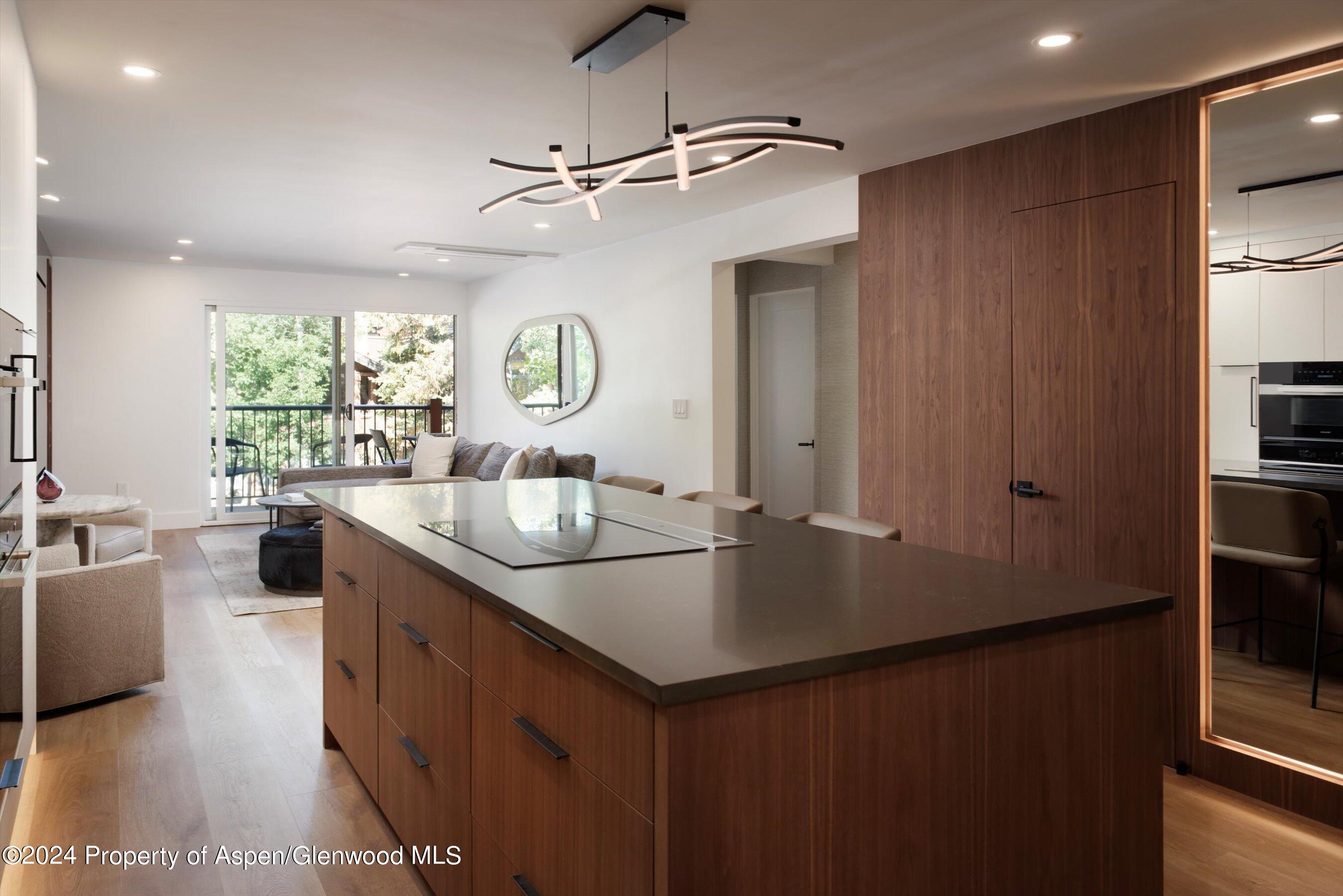 205 E Durant Avenue Aspen CO 81611