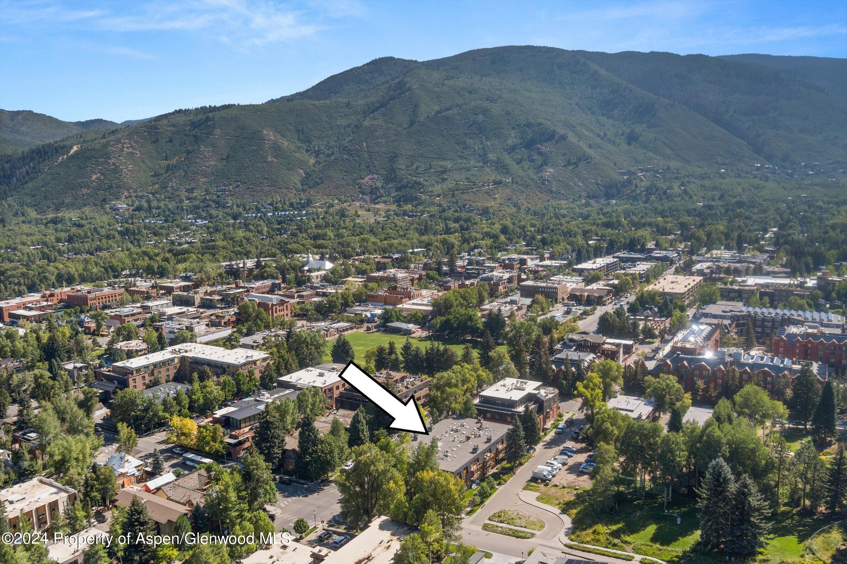 205 E Durant Avenue Aspen CO 81611