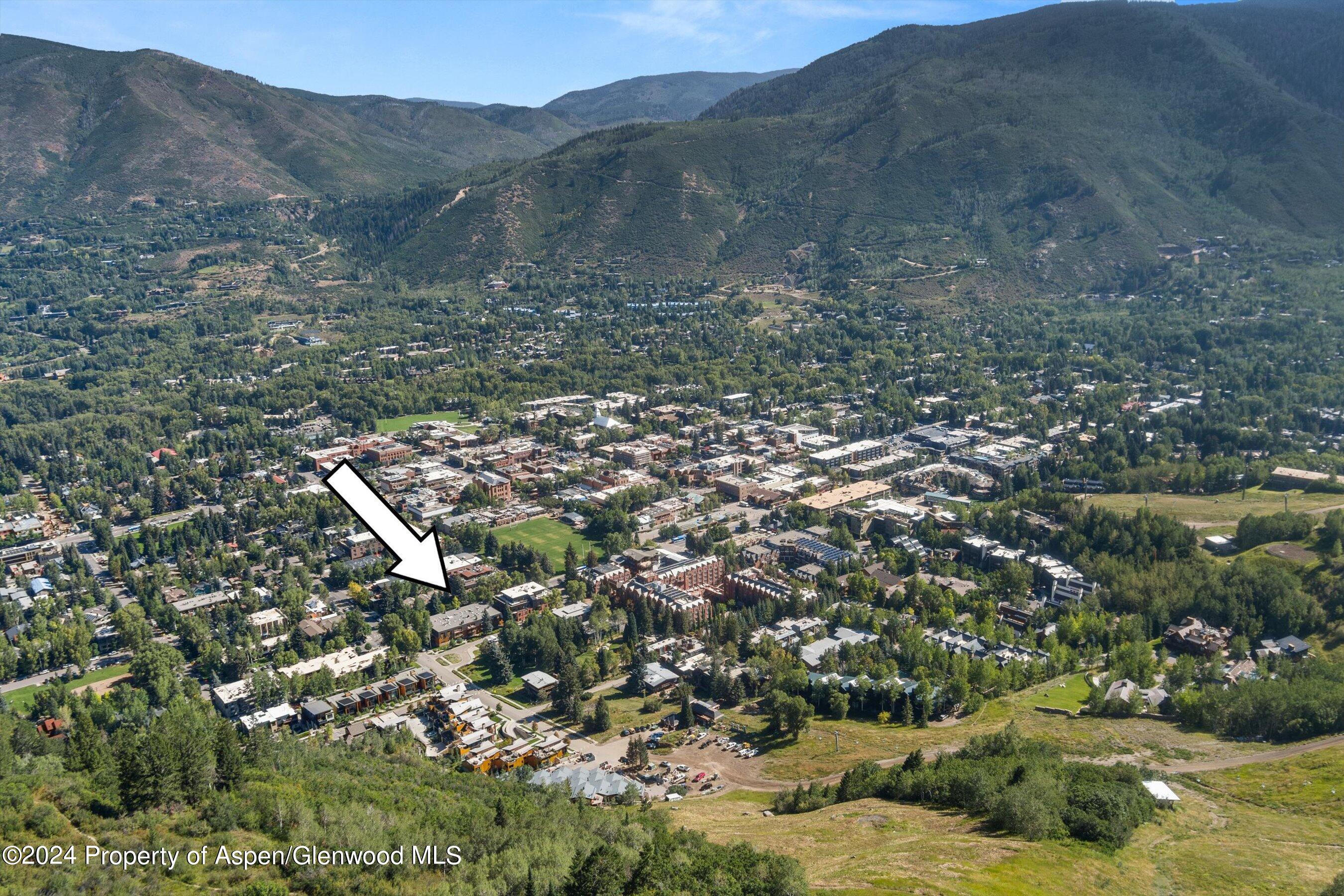 205 E Durant Avenue Aspen CO 81611