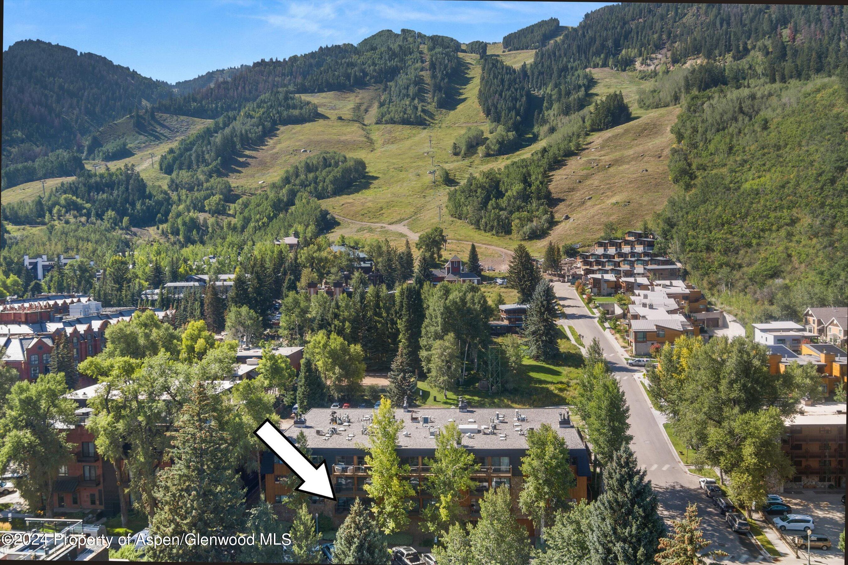 205 E Durant Avenue Aspen CO 81611