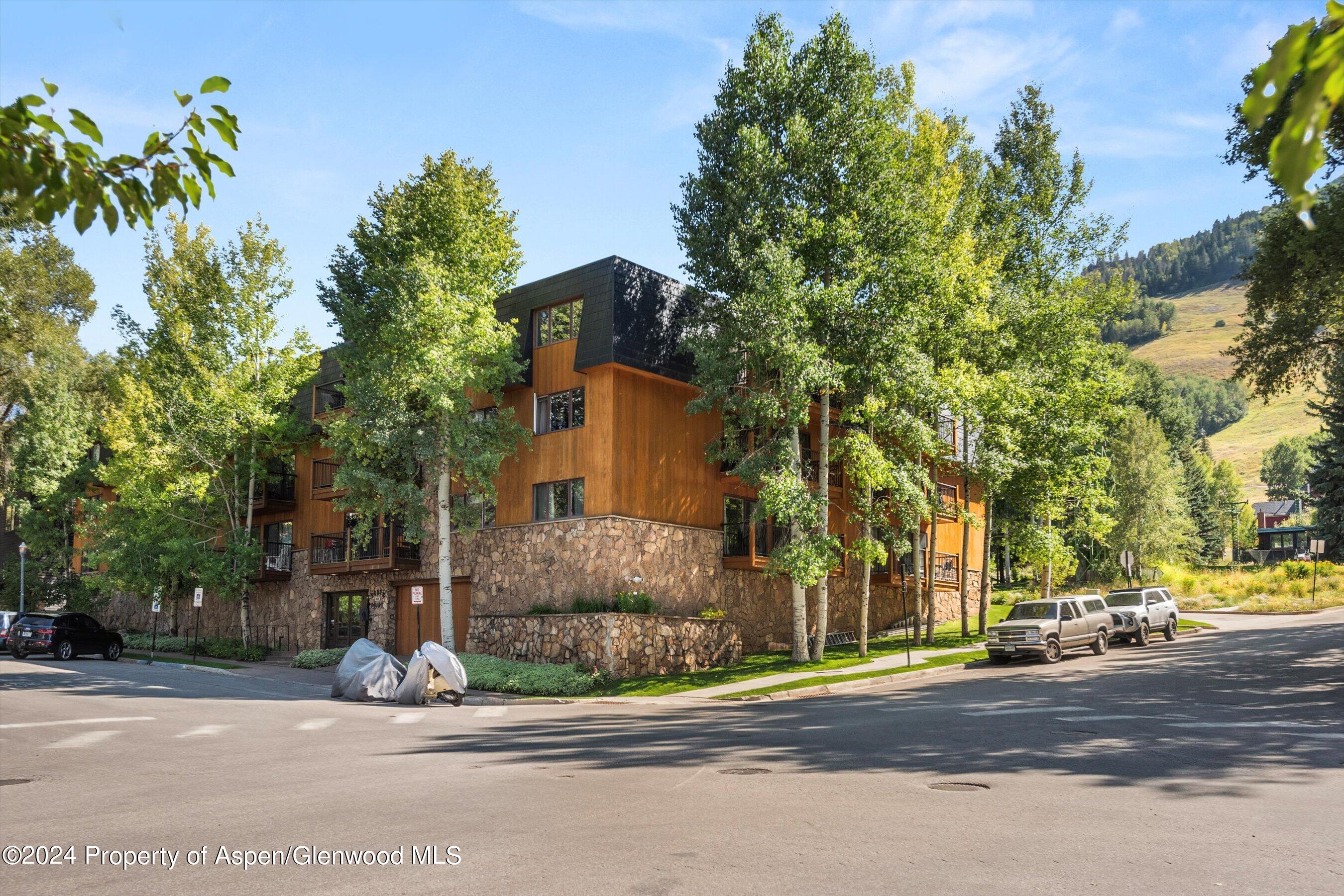 205 E Durant Avenue Aspen CO 81611