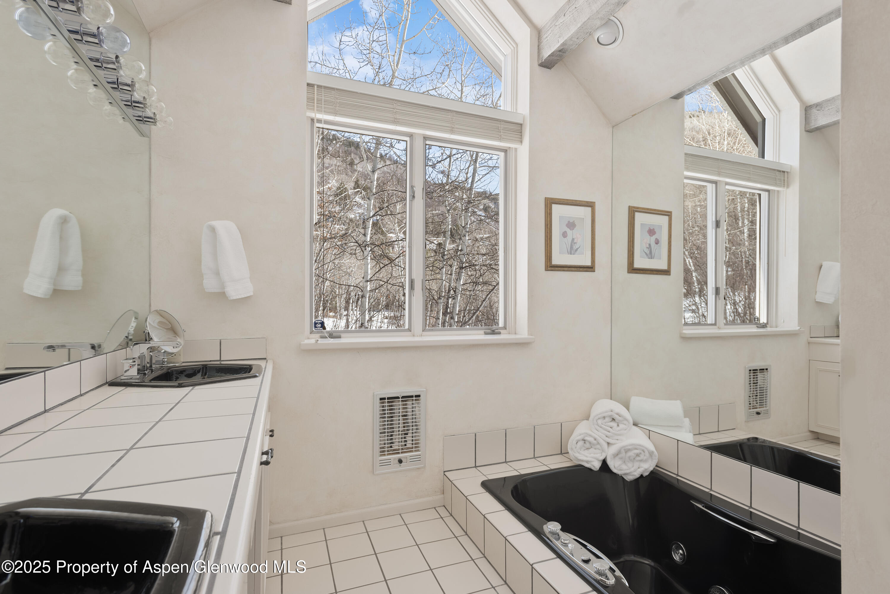 60 Northway Drive Aspen CO 81611