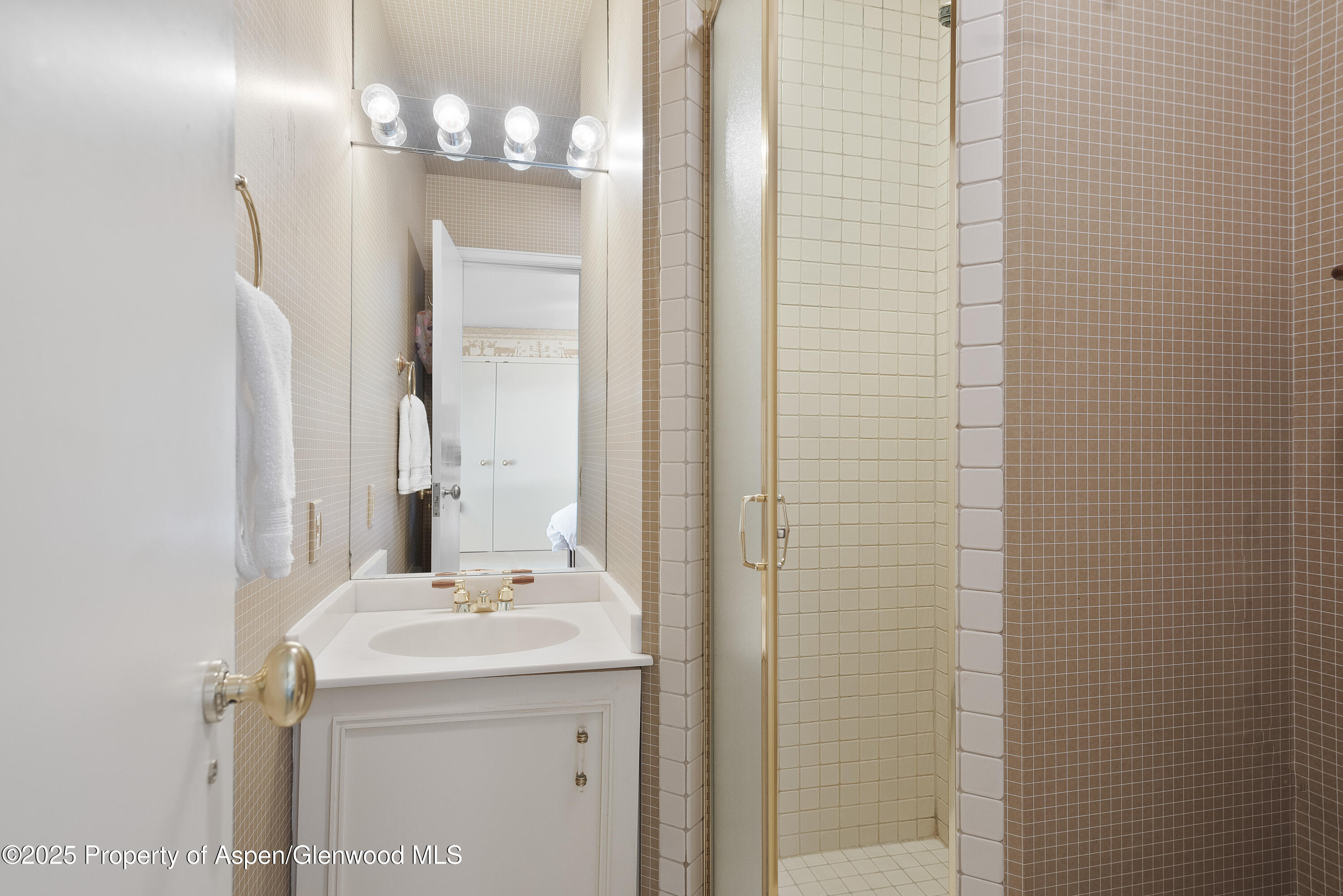 60 Northway Drive Aspen CO 81611