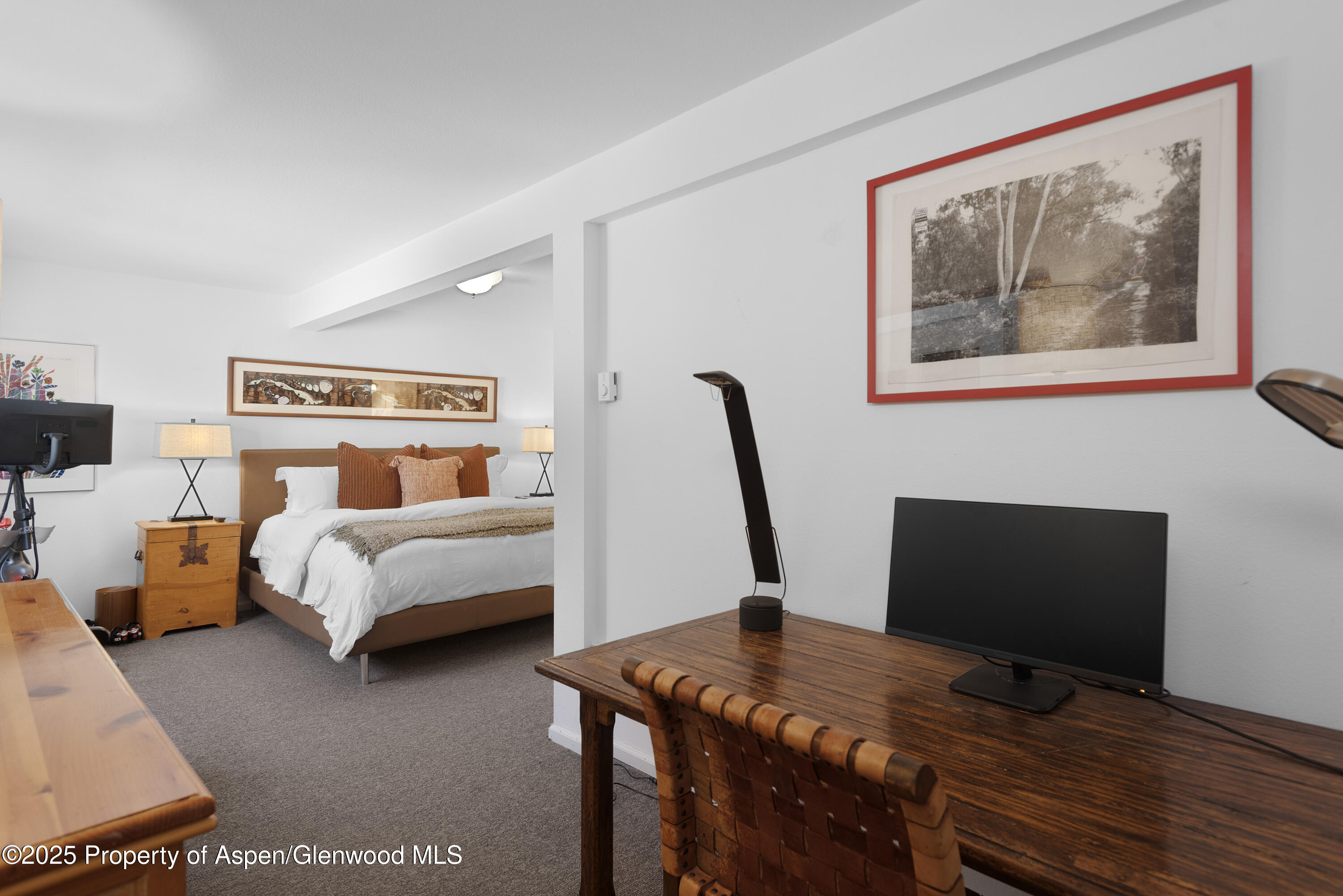 60 Northway Drive Aspen CO 81611