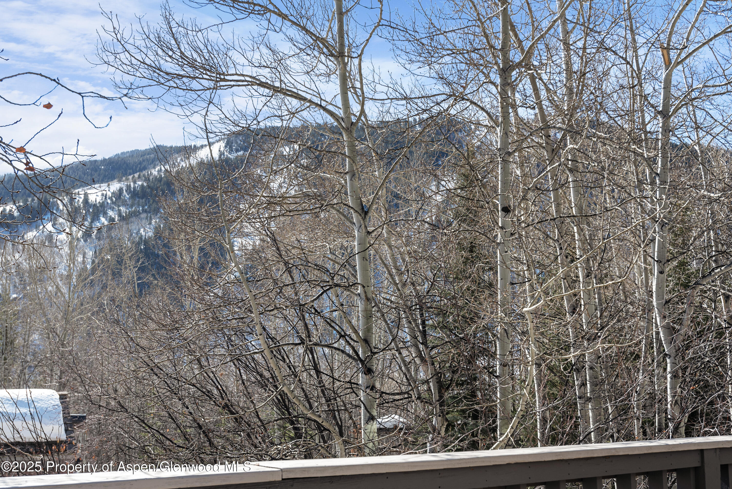 60 Northway Drive Aspen CO 81611