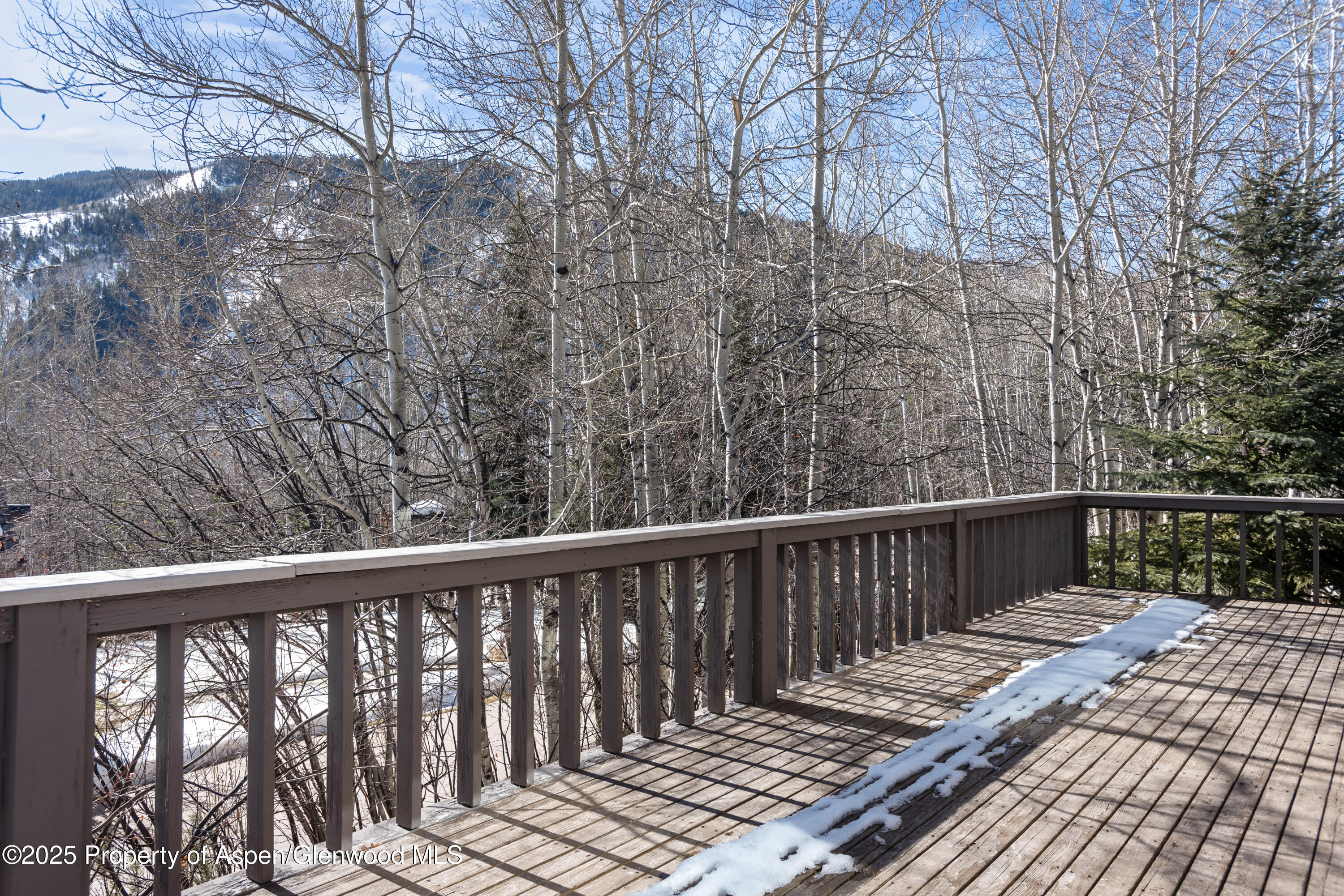 60 Northway Drive Aspen CO 81611