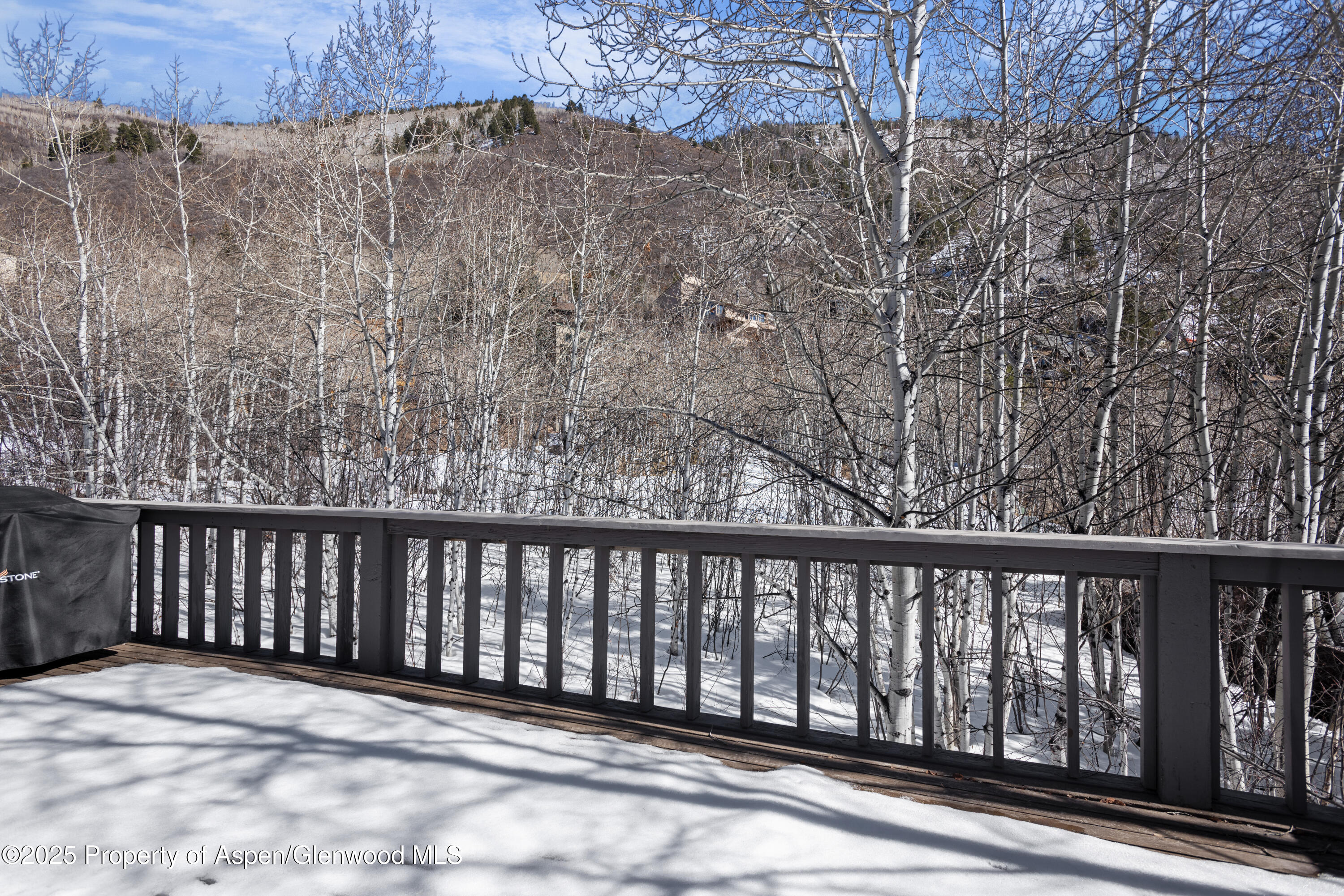 60 Northway Drive Aspen CO 81611