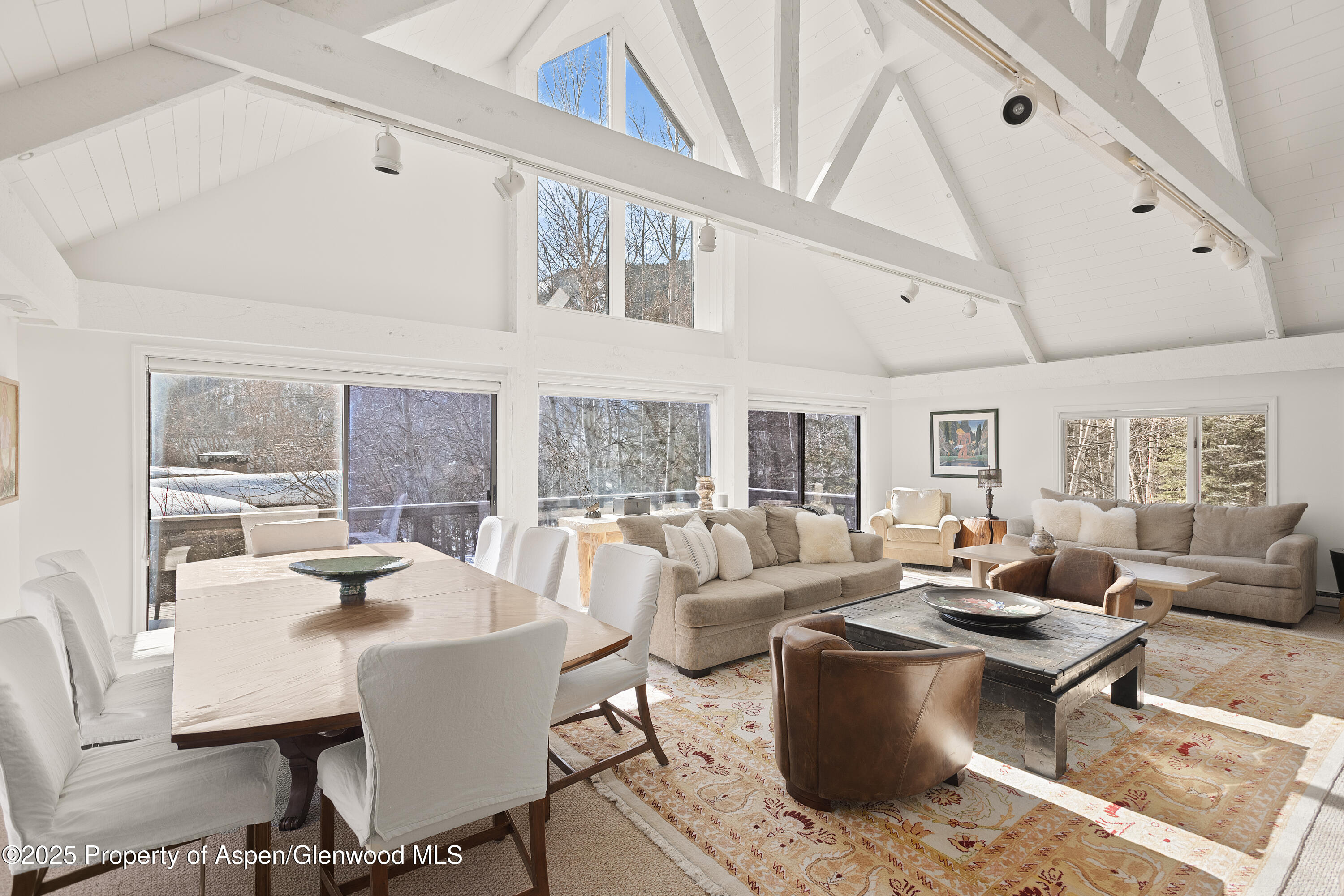 60 Northway Drive Aspen CO 81611