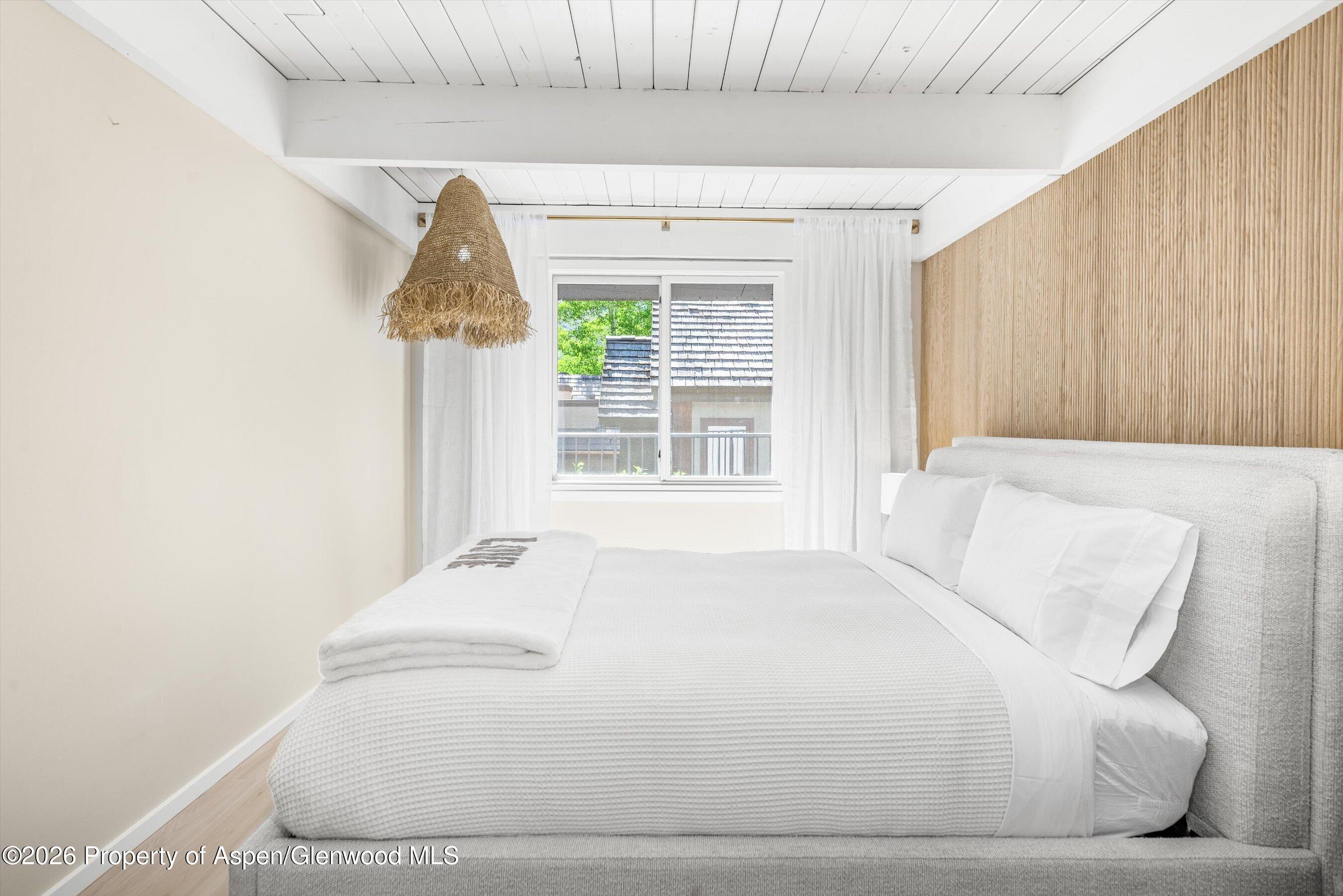 901 E Hyman Avenue Aspen CO 81611