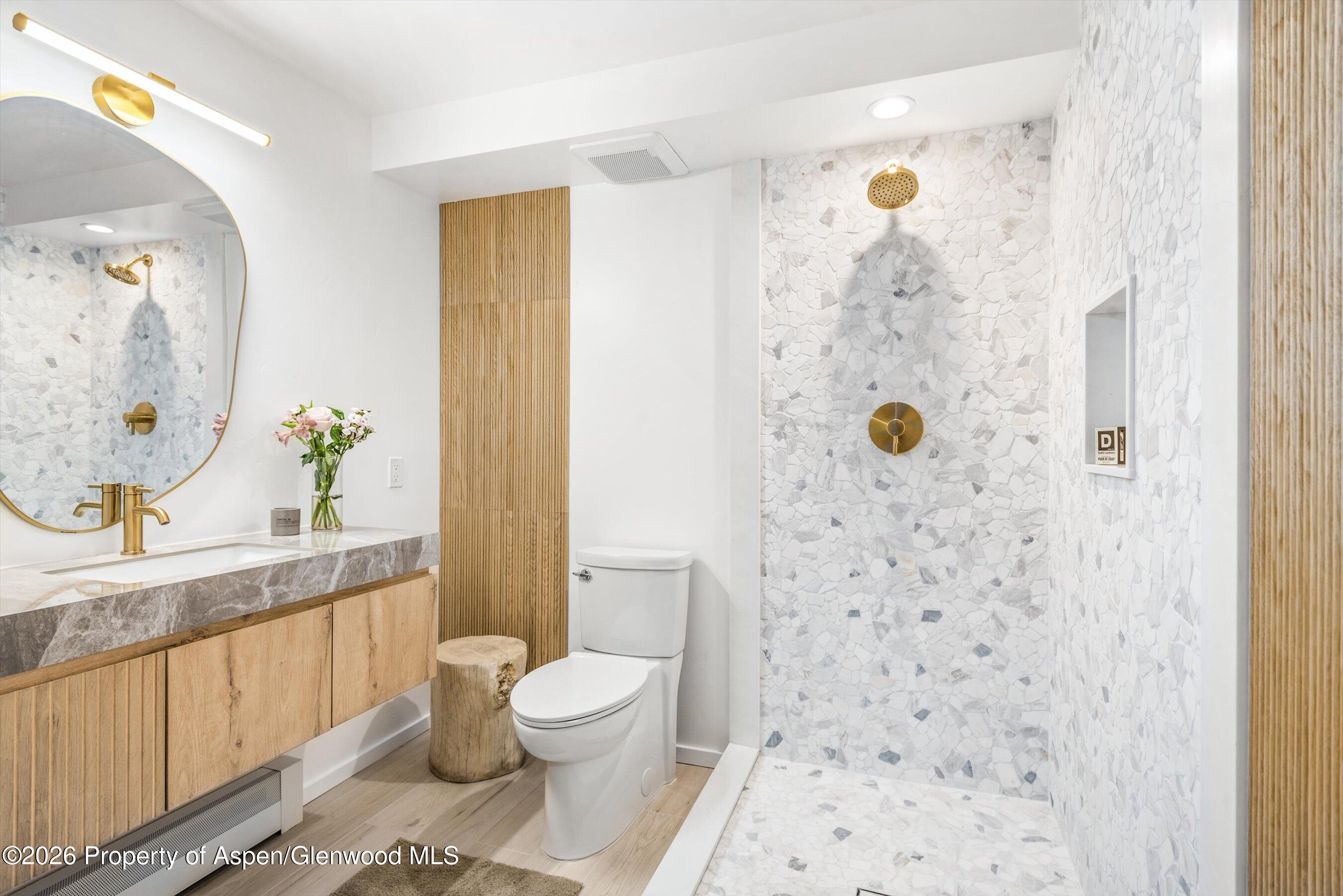901 E Hyman Avenue Aspen CO 81611