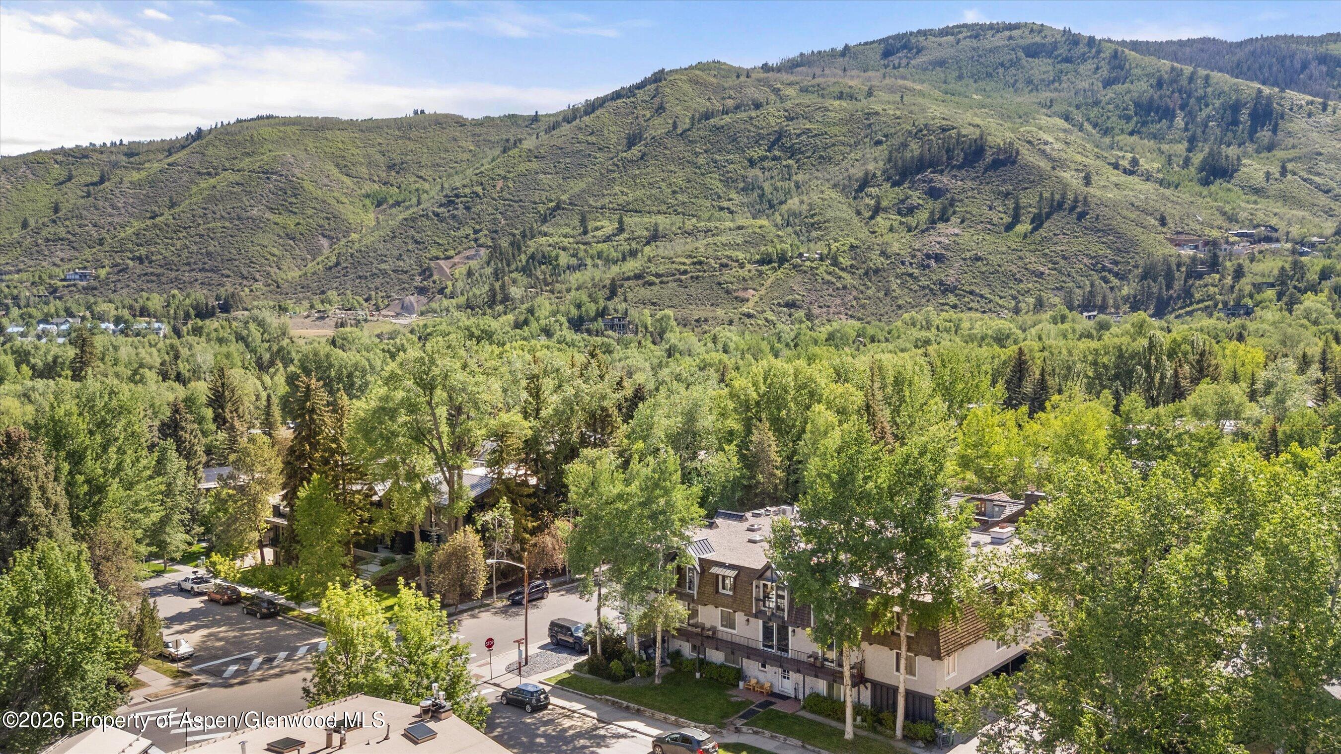 901 E Hyman Avenue Aspen CO 81611