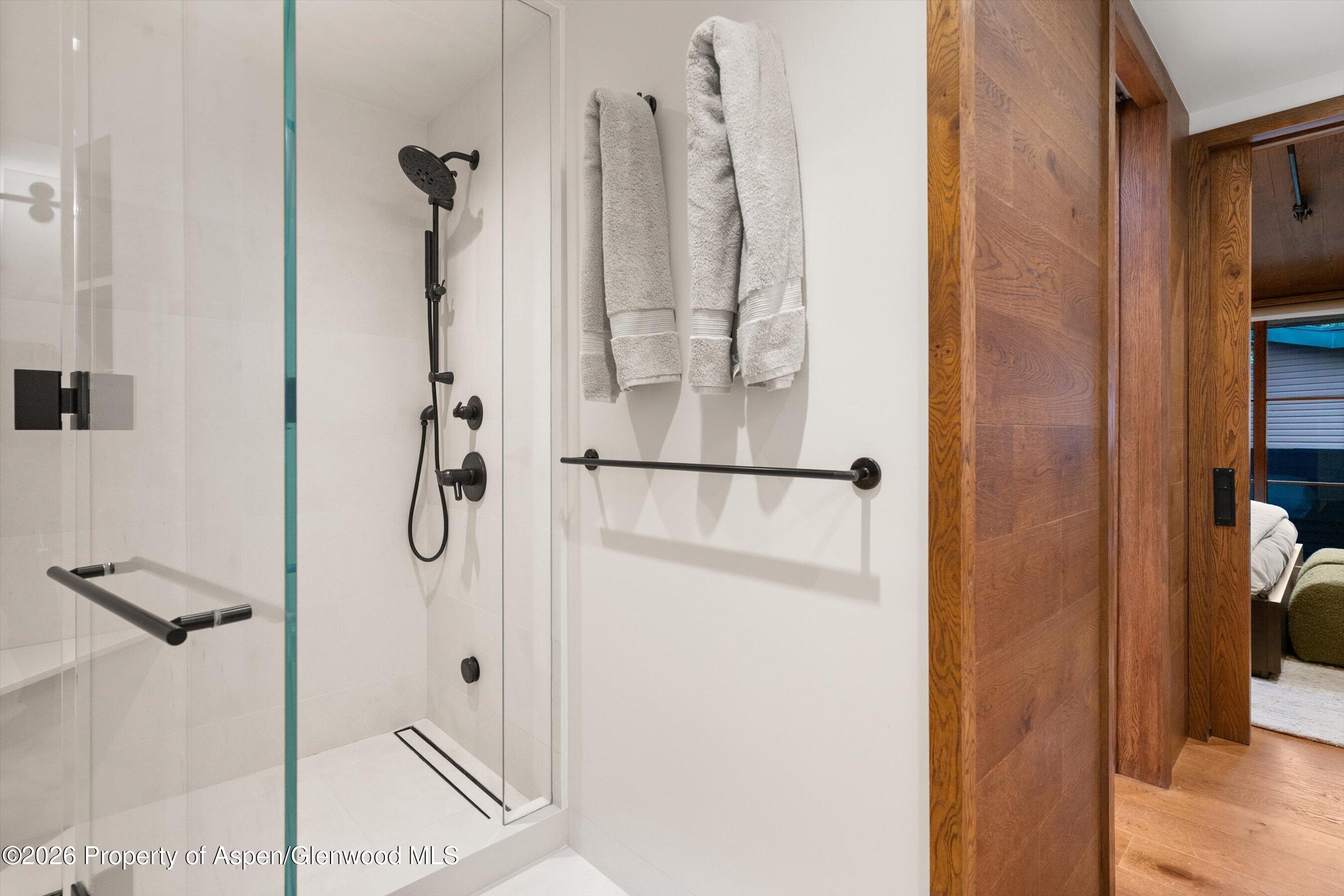 312 W Hyman Avenue Aspen CO 81611