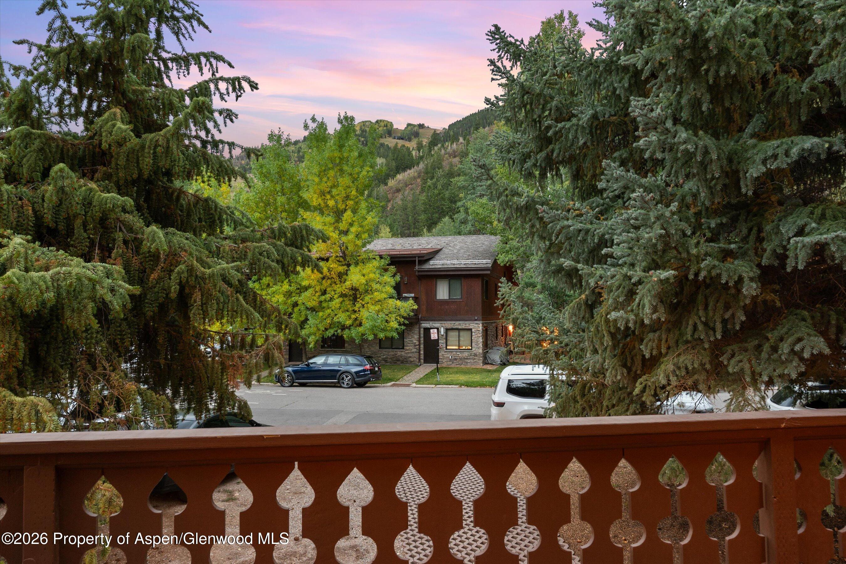 312 W Hyman Avenue Aspen CO 81611
