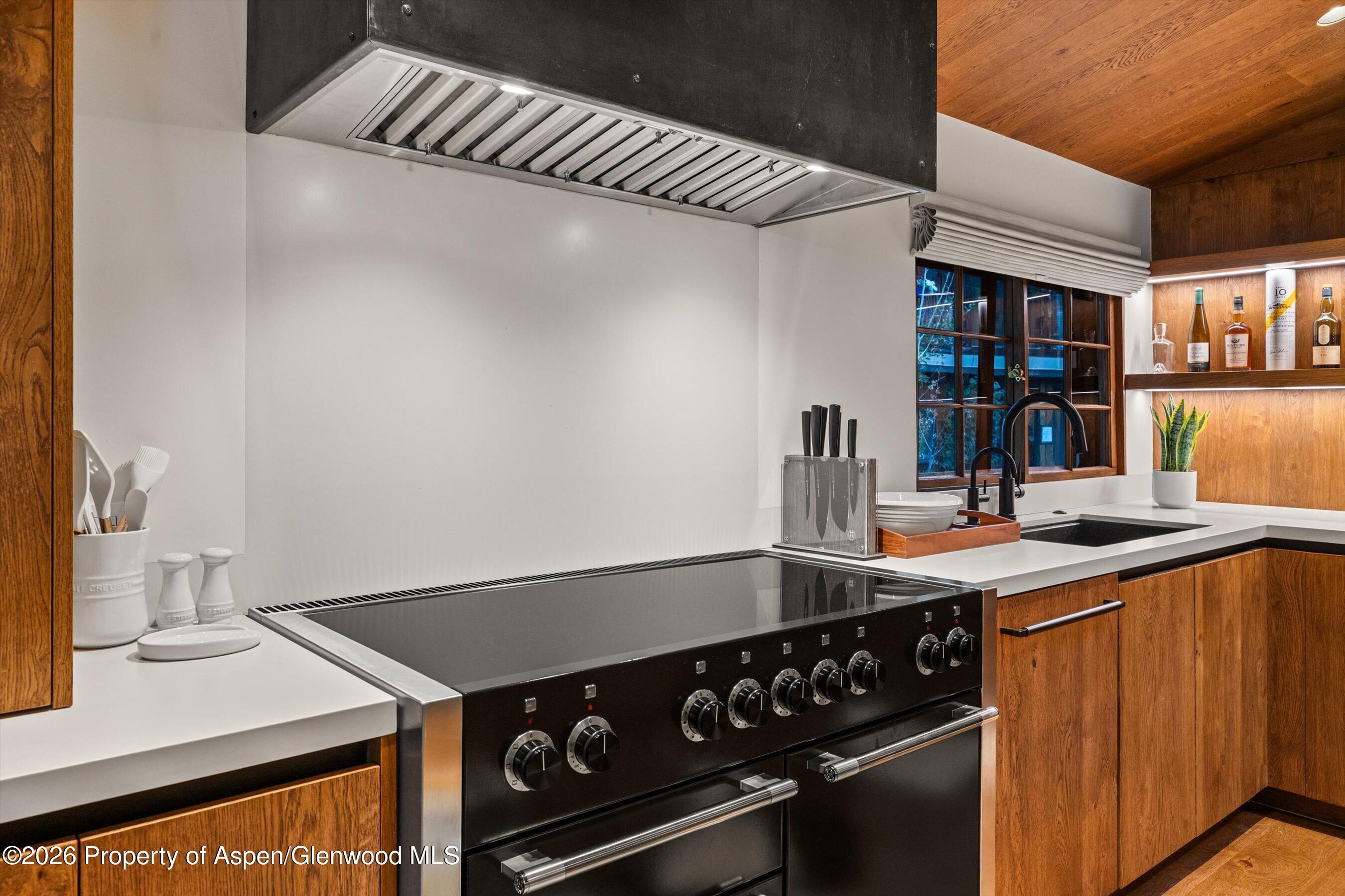 312 W Hyman Avenue Aspen CO 81611