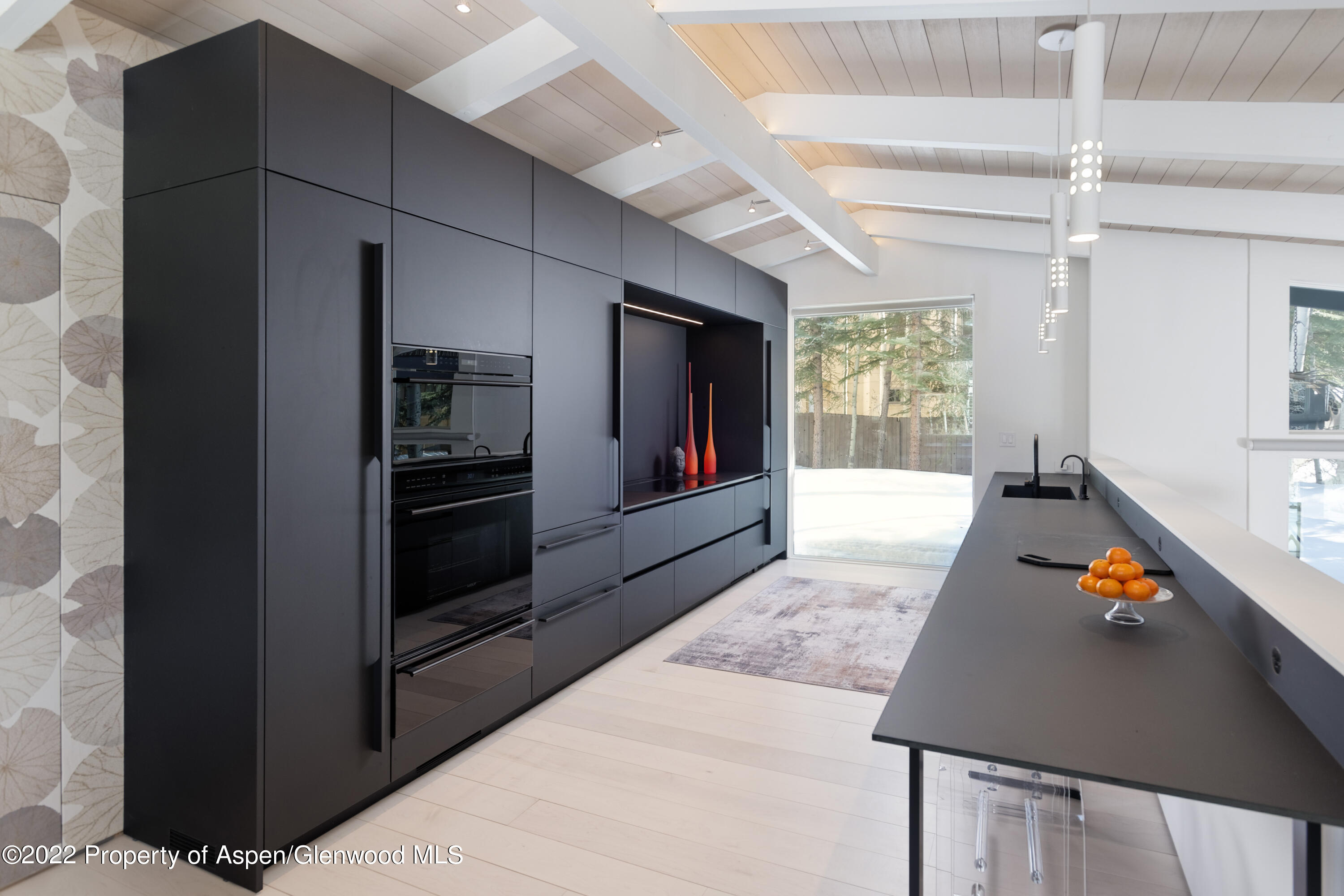 1112 Waters Avenue Aspen CO 81611