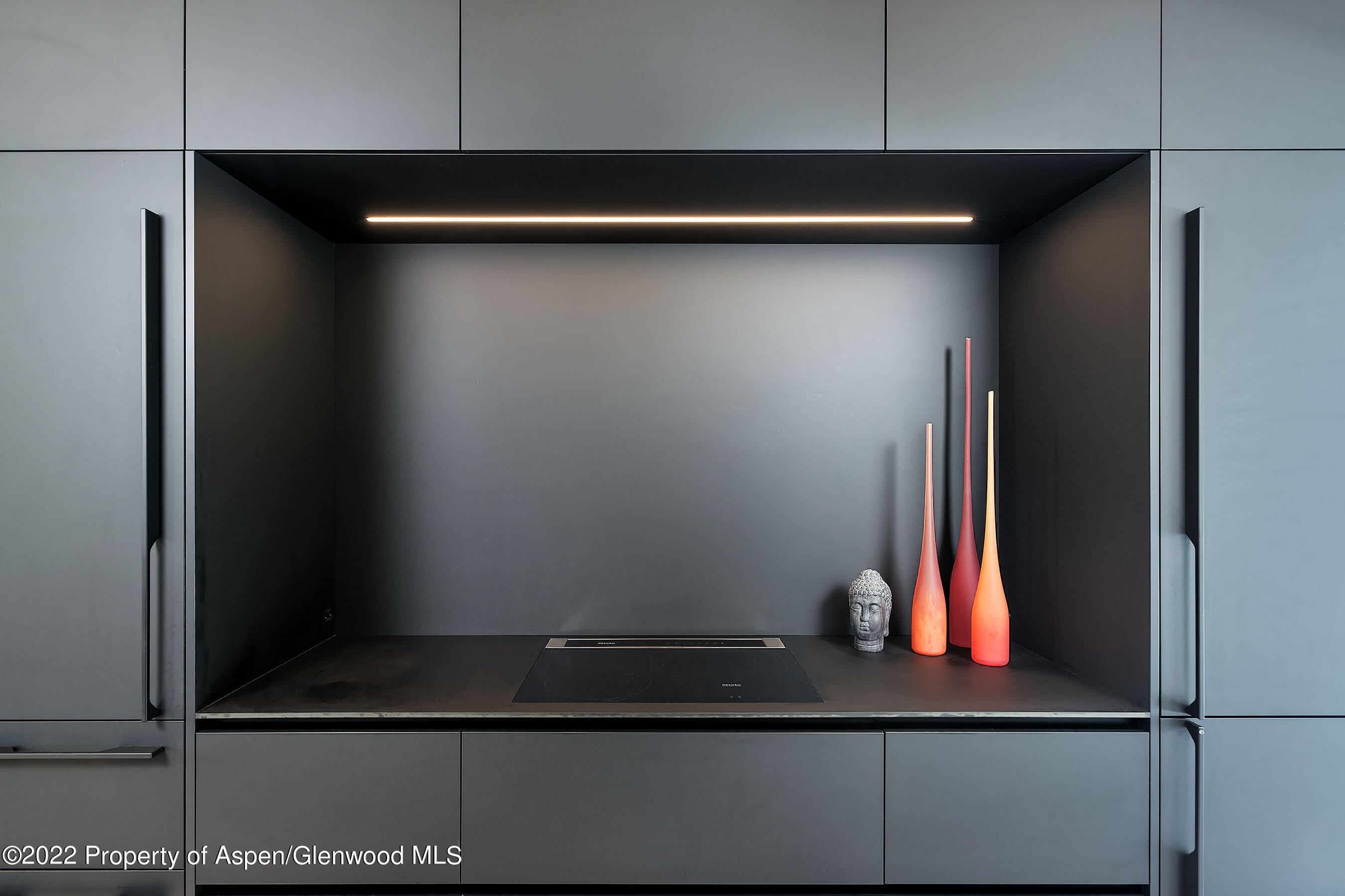 1112 Waters Avenue Aspen CO 81611