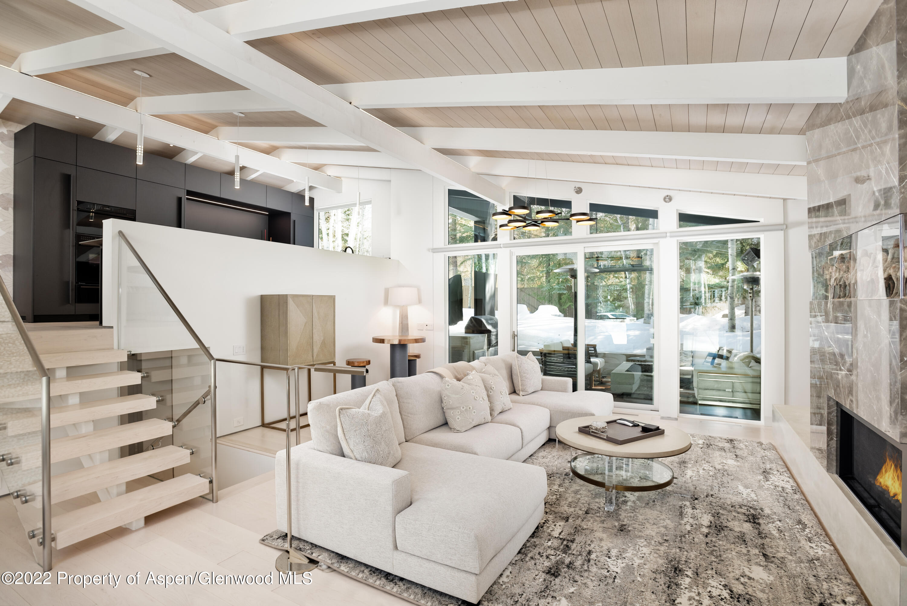 1112 Waters Avenue Aspen CO 81611