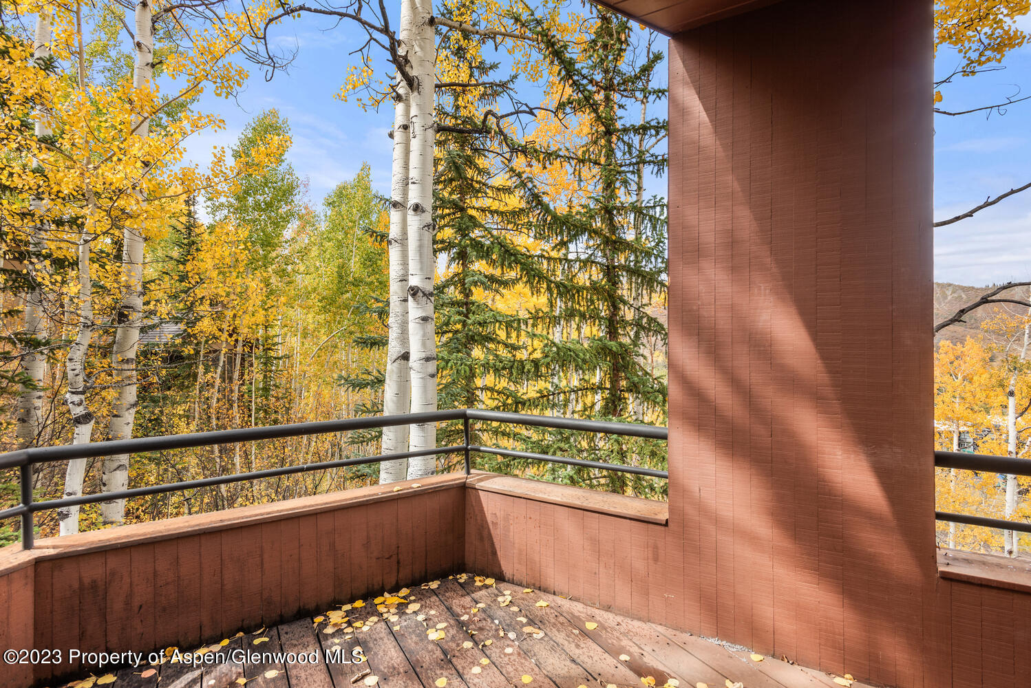 431 Edgewood Lane Snowmass Village CO 81615