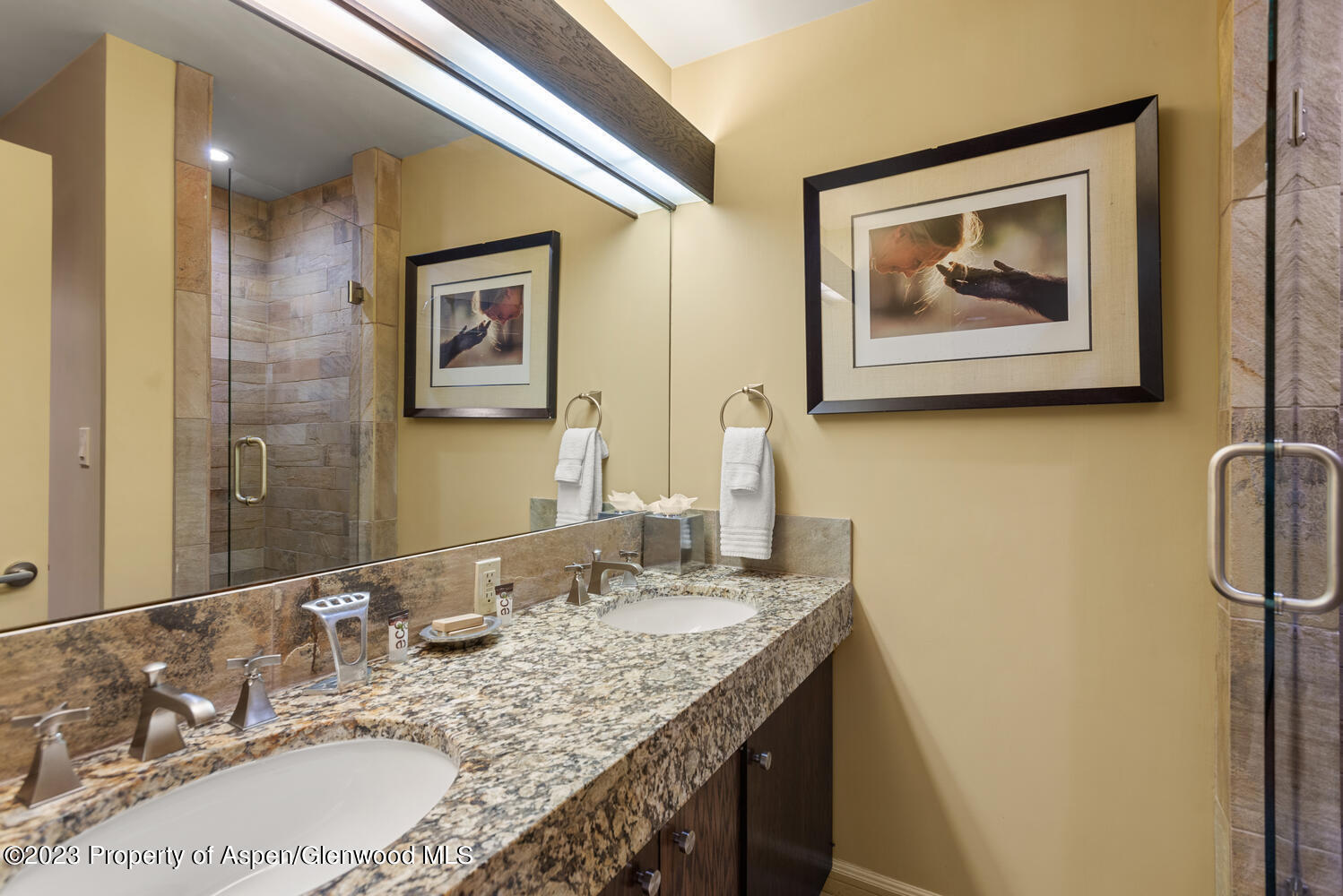 431 Edgewood Lane Snowmass Village CO 81615