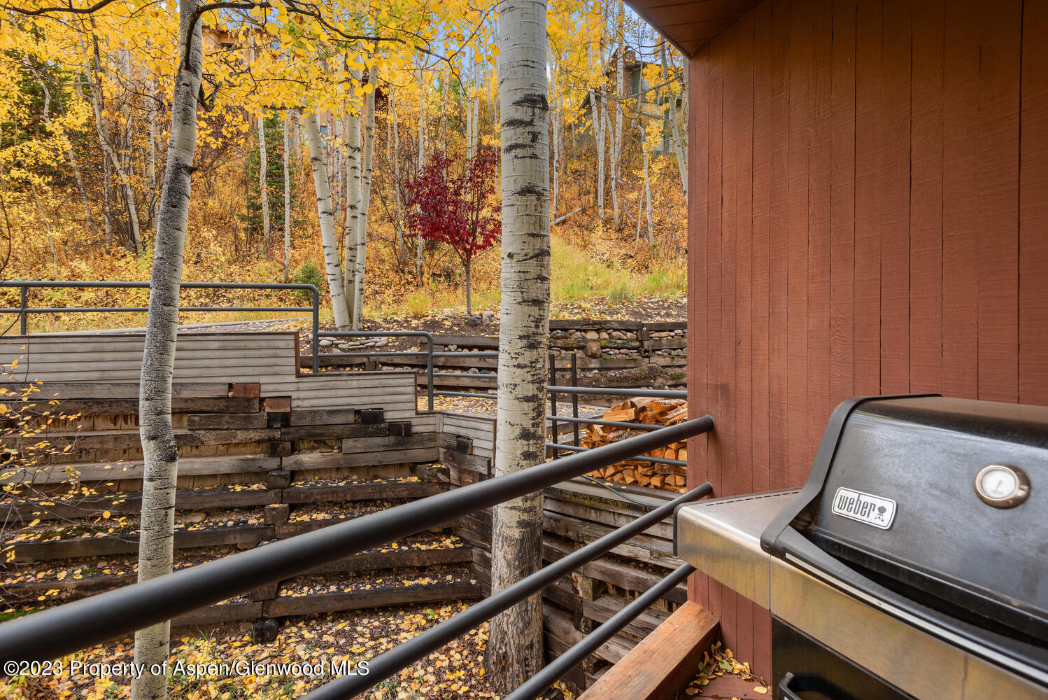 431 Edgewood Lane Snowmass Village CO 81615