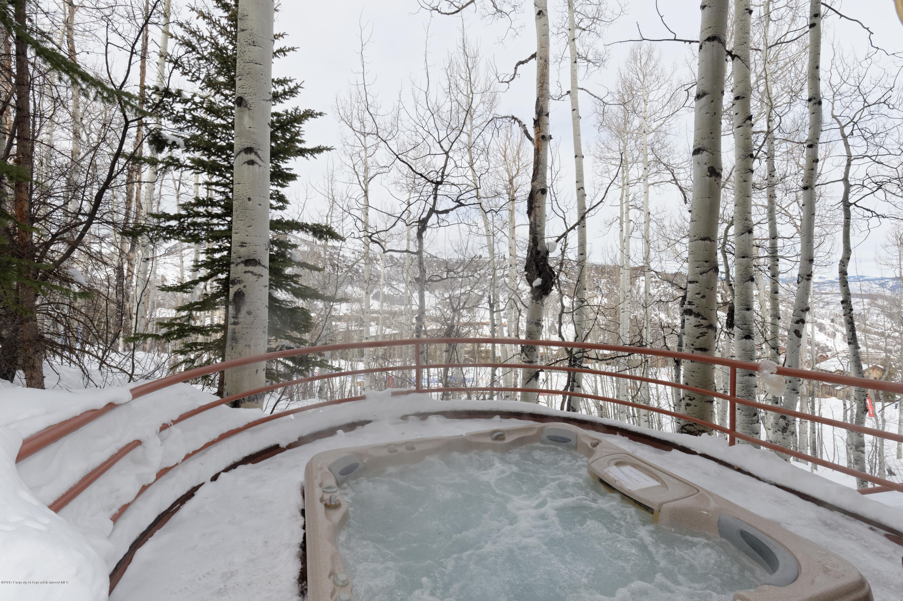 431 Edgewood Lane Snowmass Village CO 81615