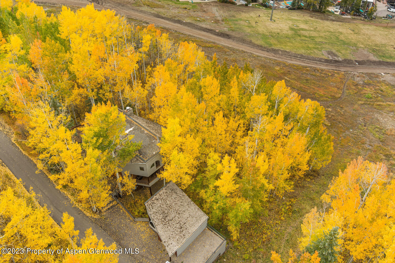 431 Edgewood Lane Snowmass Village CO 81615