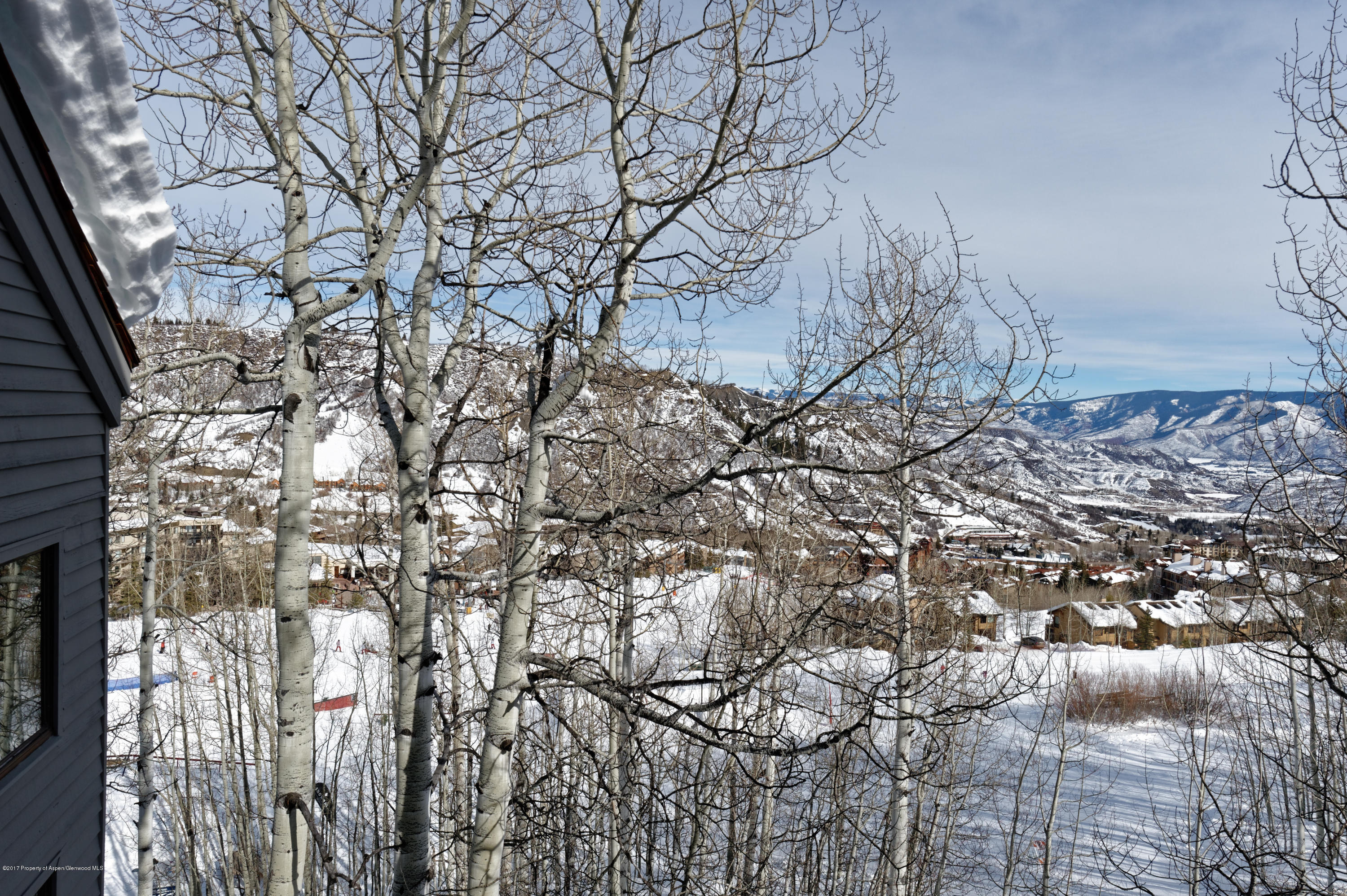 431 Edgewood Lane Snowmass Village CO 81615