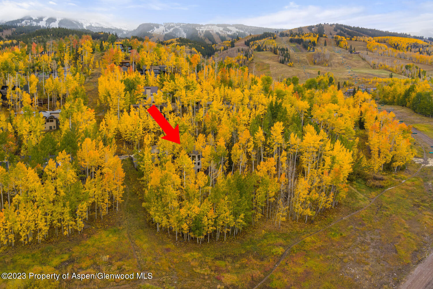 431 Edgewood Lane Snowmass Village CO 81615