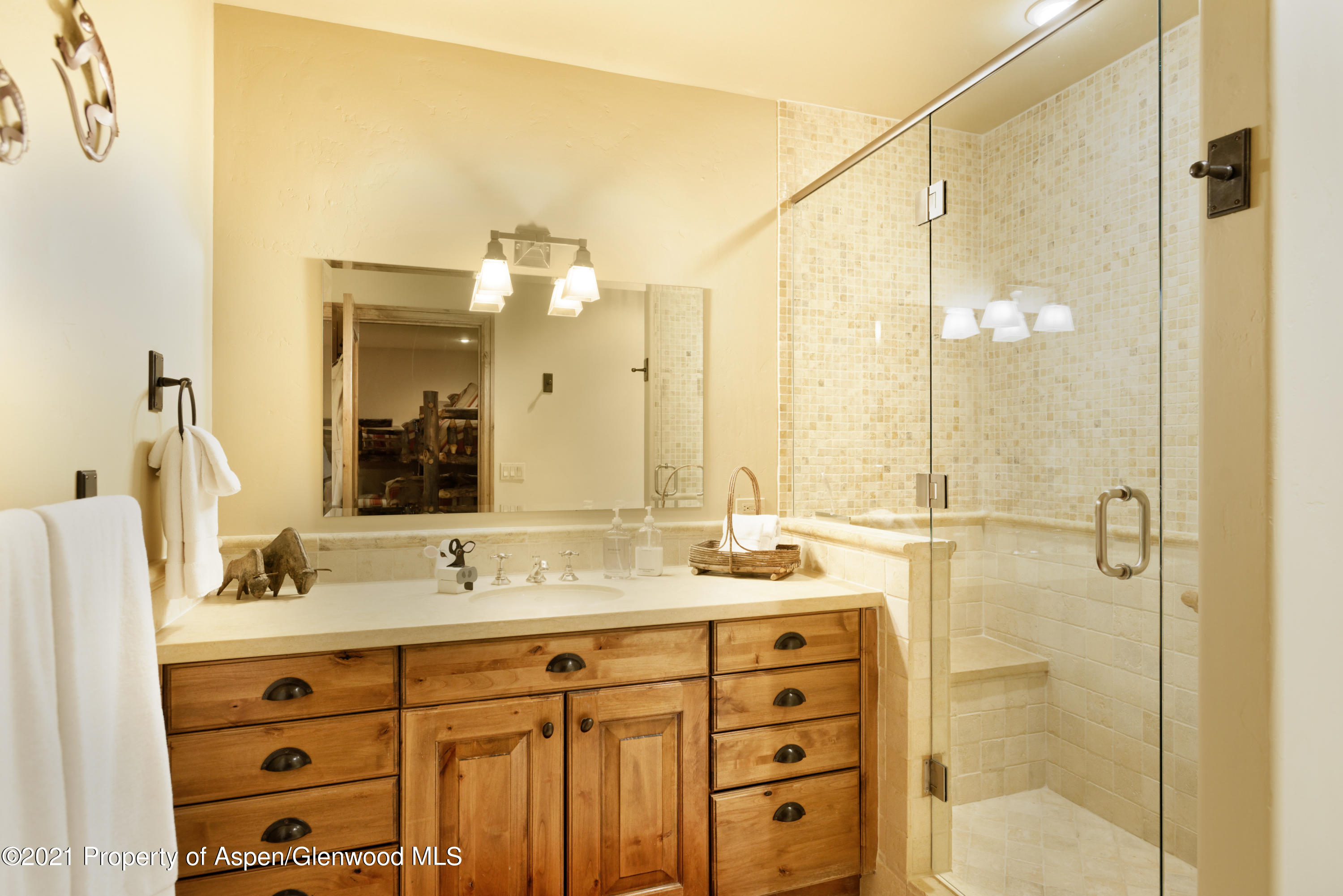 938 S Mill Street Aspen CO 81611