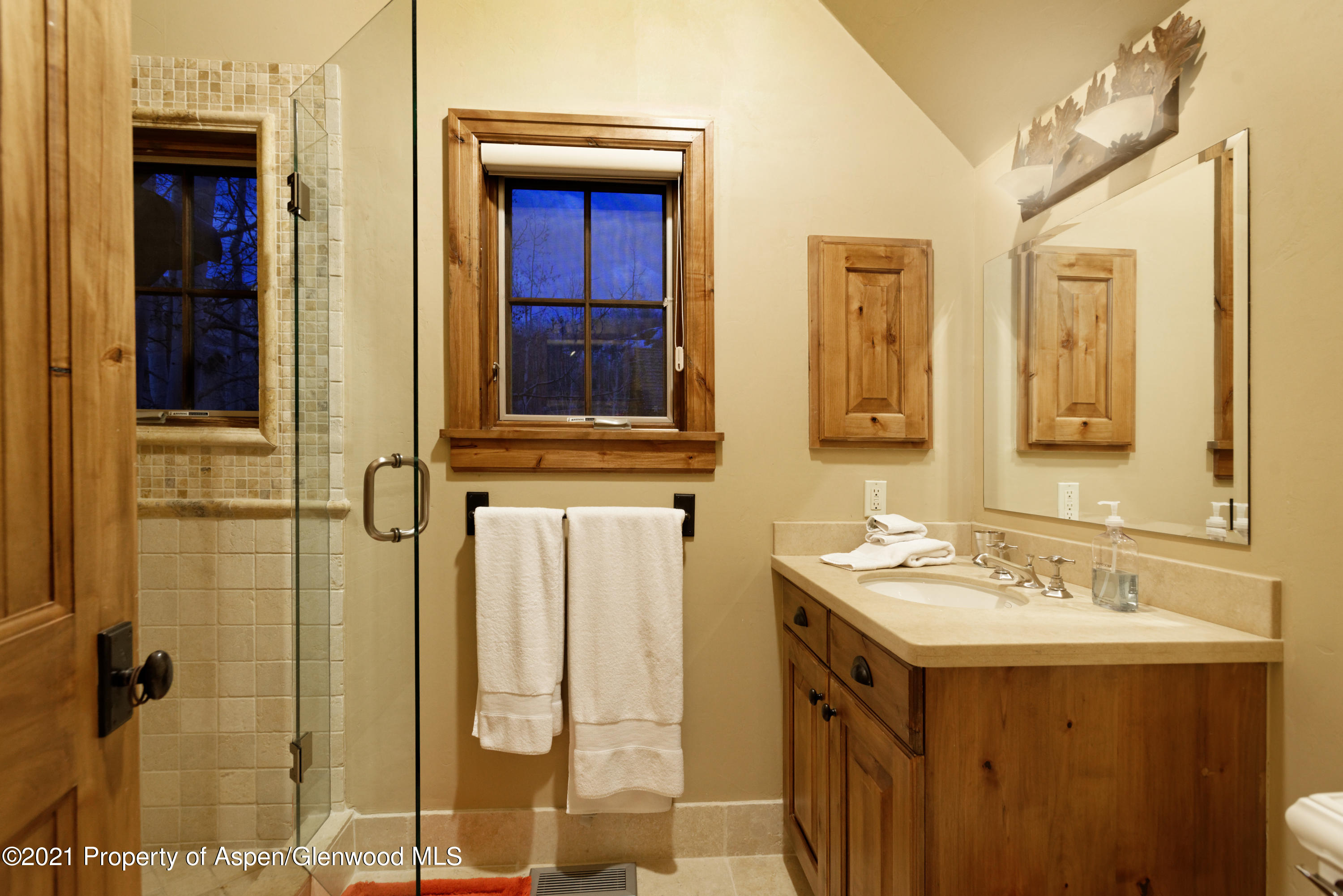 938 S Mill Street Aspen CO 81611