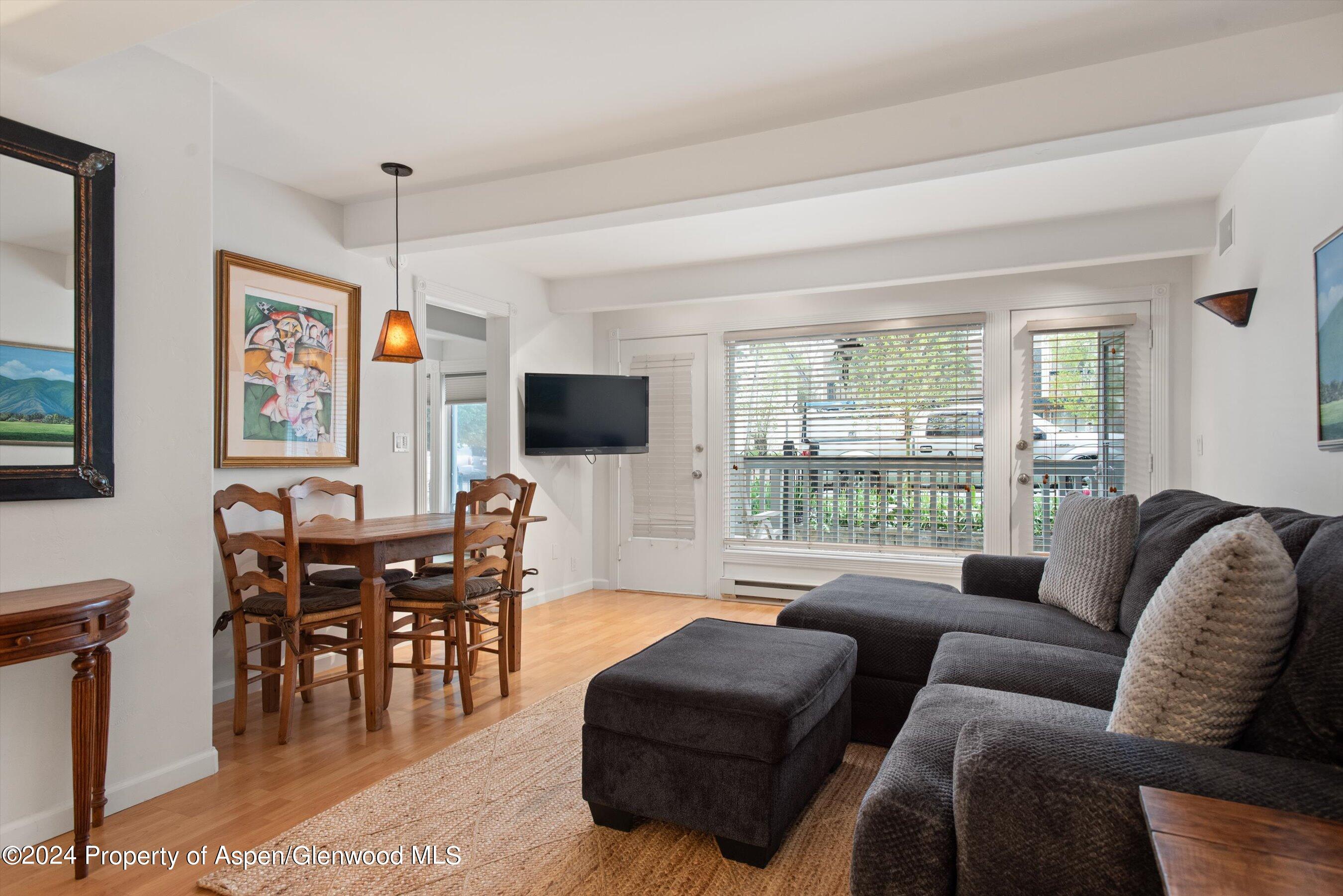 916 E Hopkins Avenue Aspen CO 81611