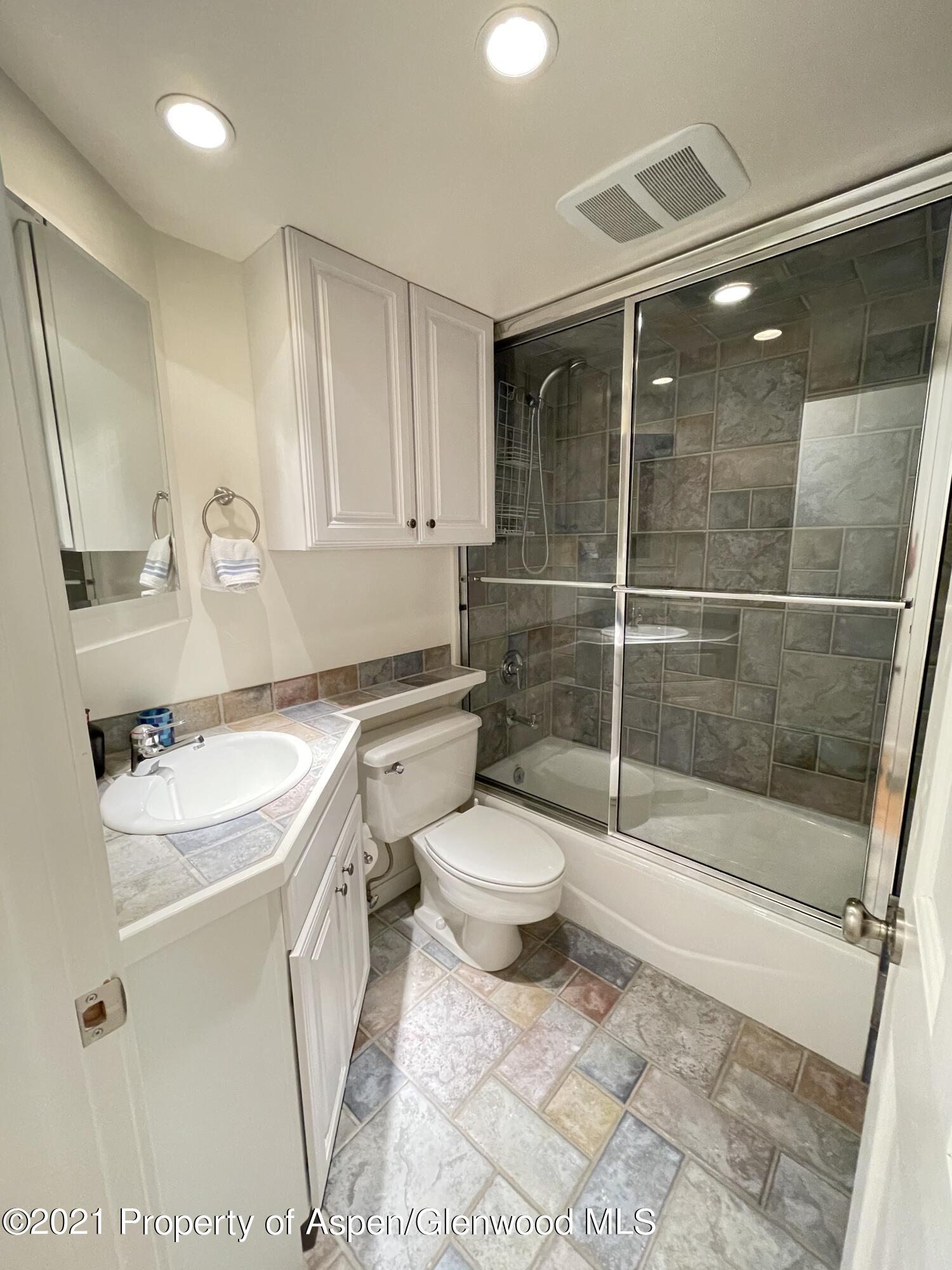 916 E Hopkins Avenue Aspen CO 81611