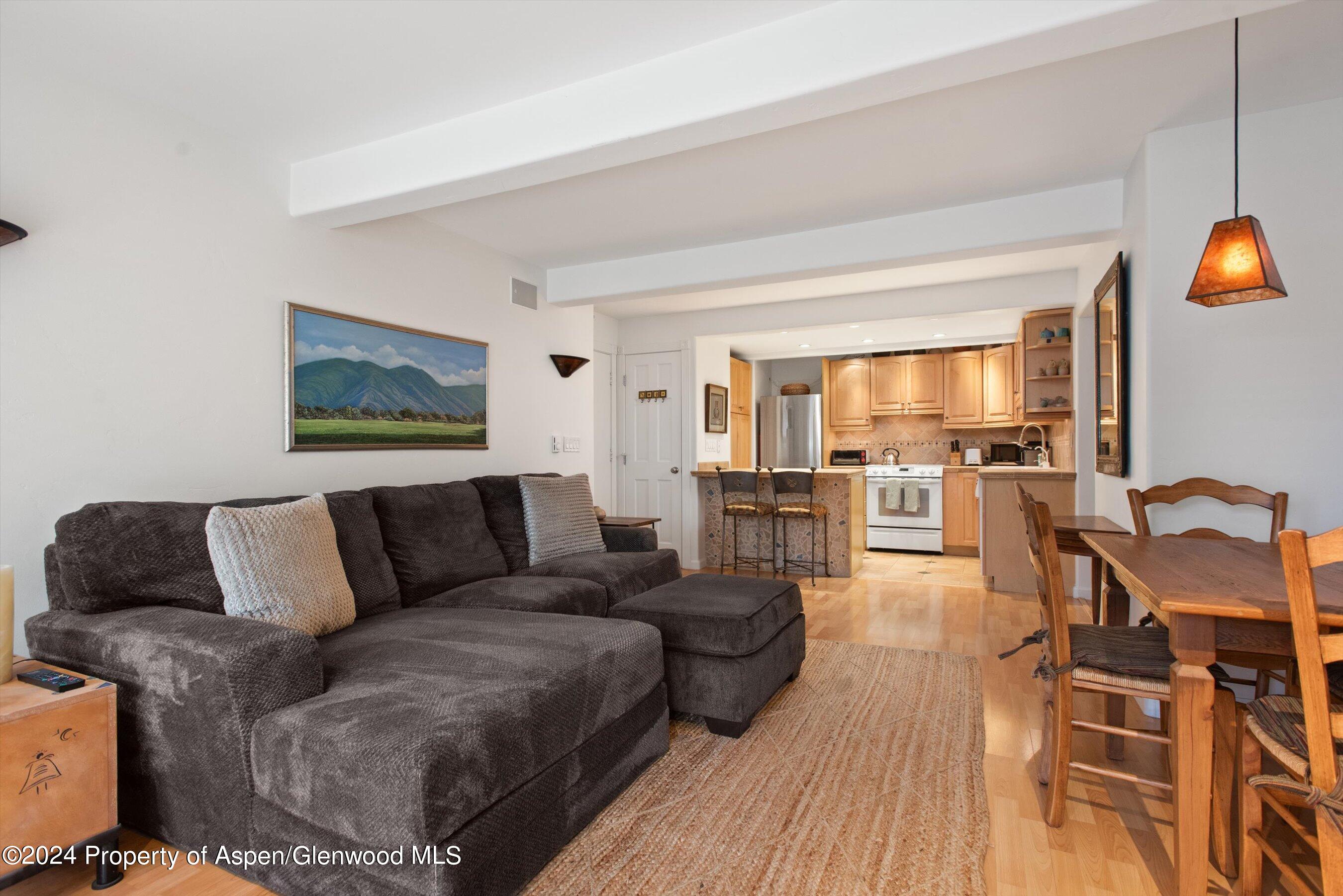 916 E Hopkins Avenue Aspen CO 81611