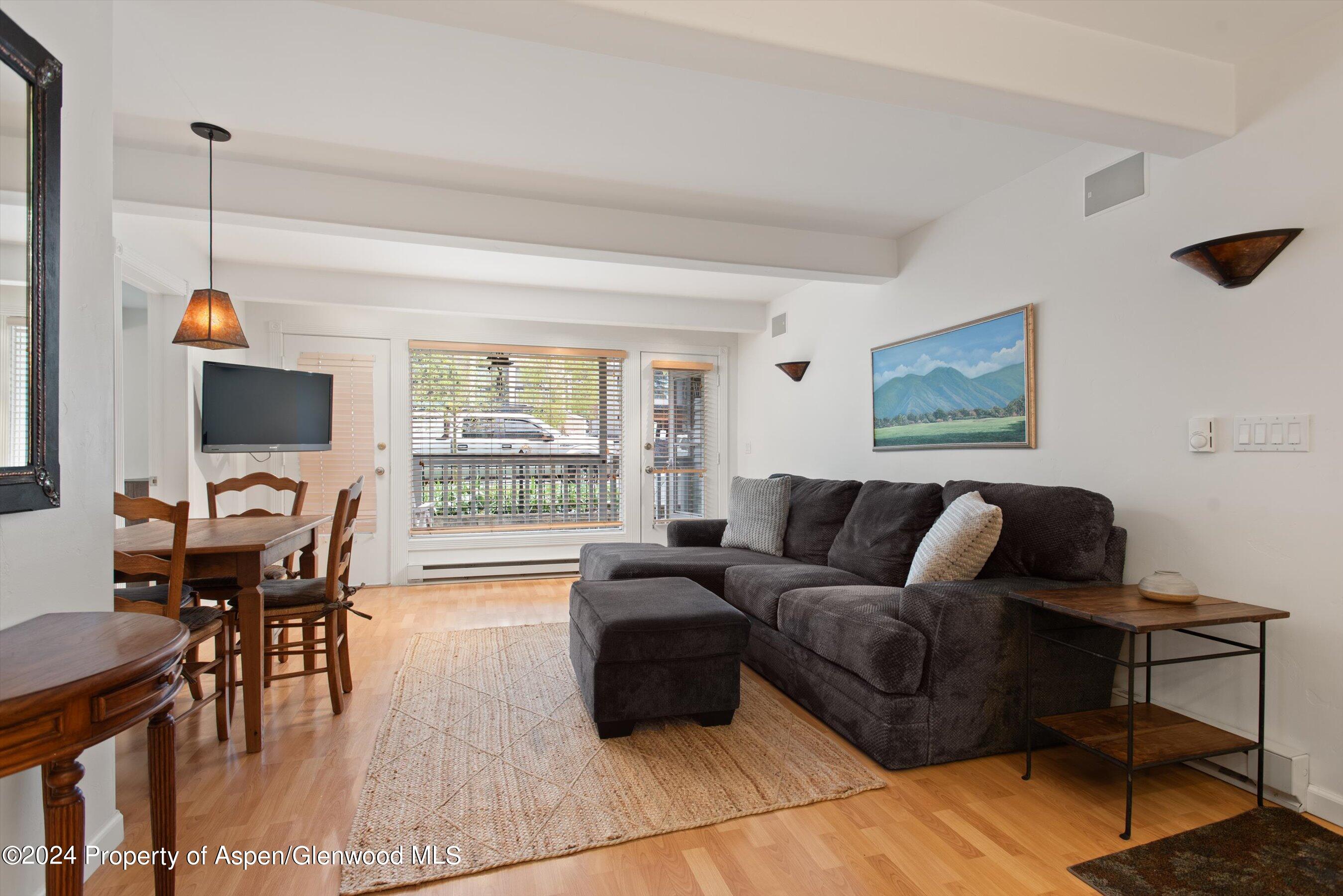 916 E Hopkins Avenue Aspen CO 81611