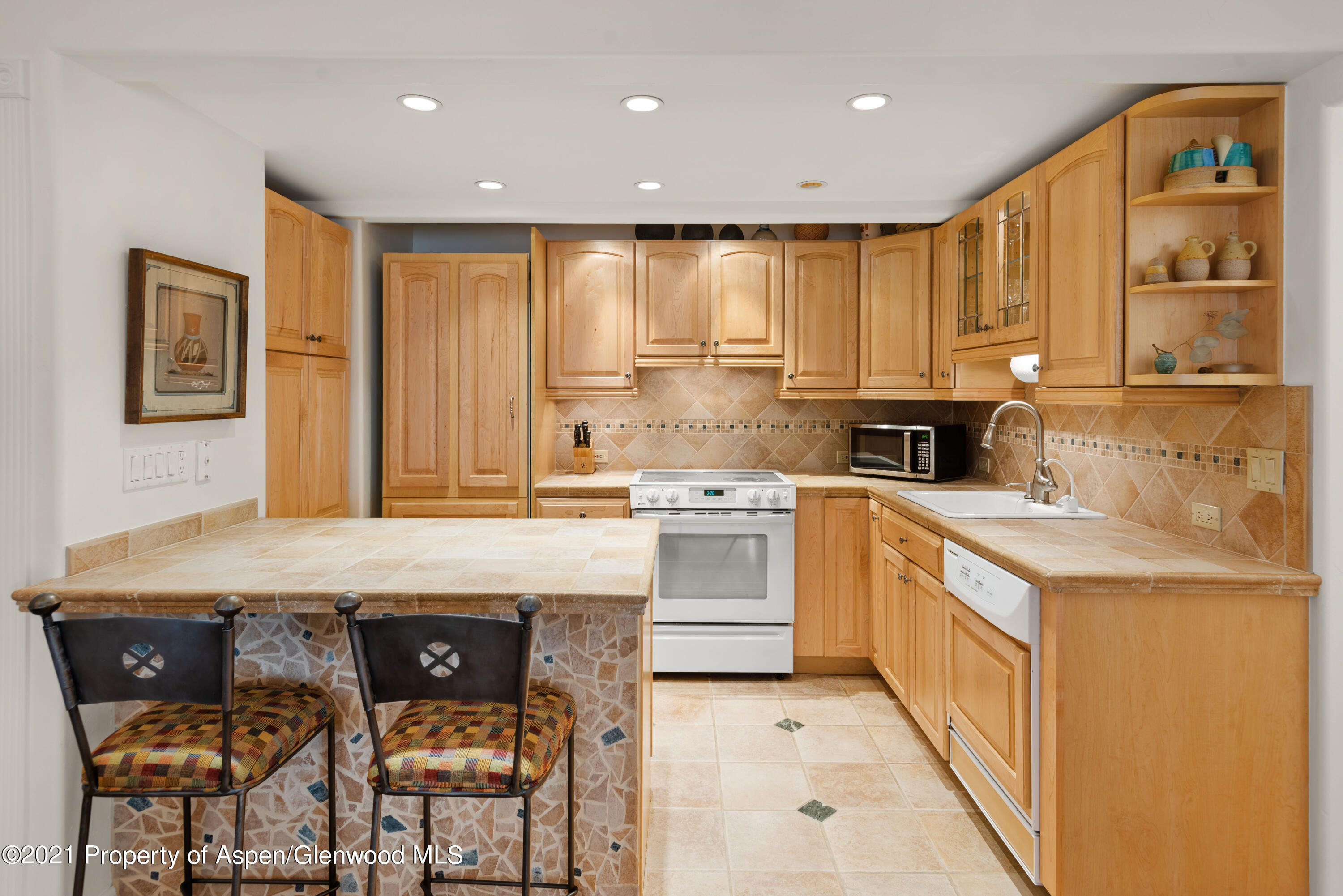 916 E Hopkins Avenue Aspen CO 81611