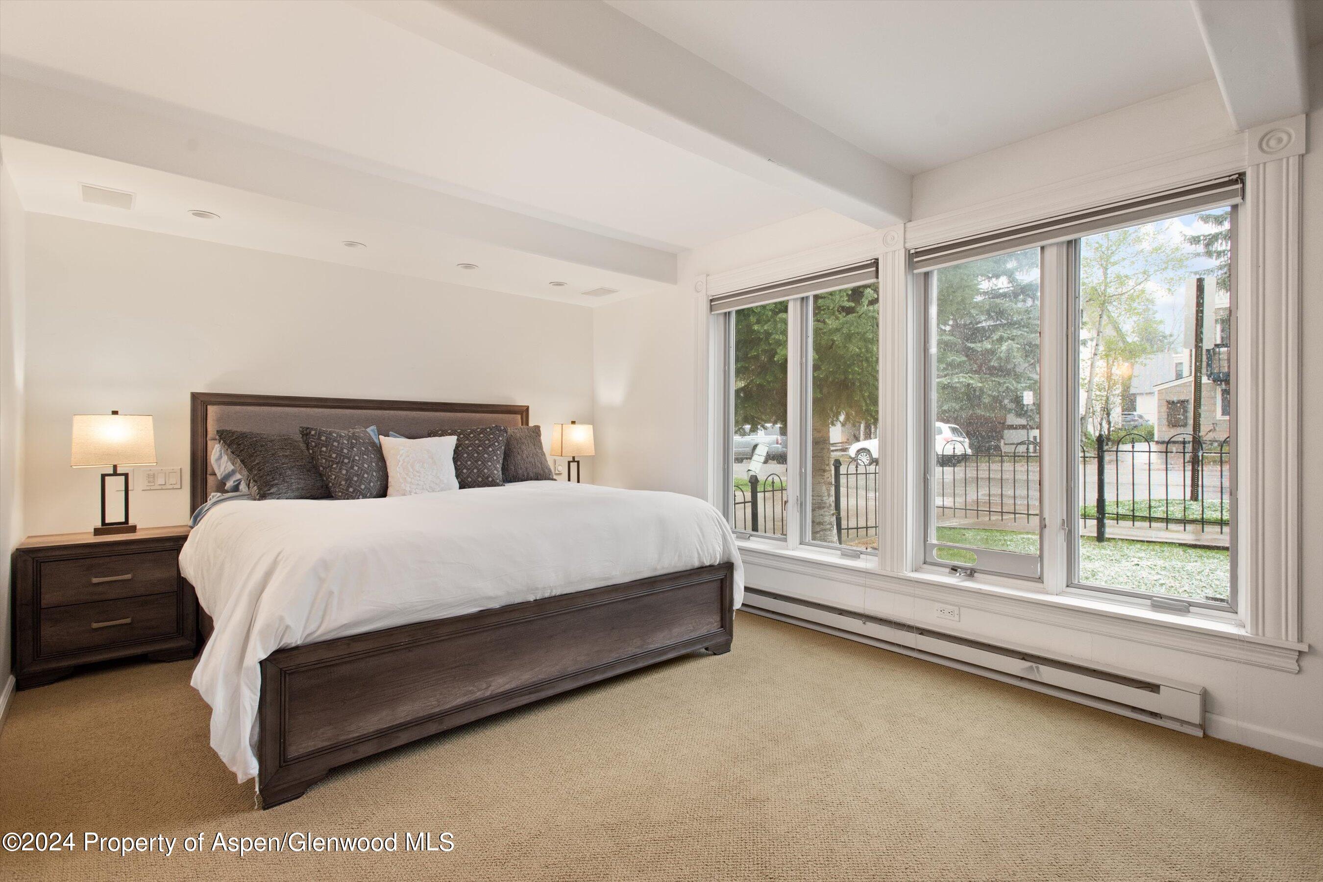 916 E Hopkins Avenue Aspen CO 81611
