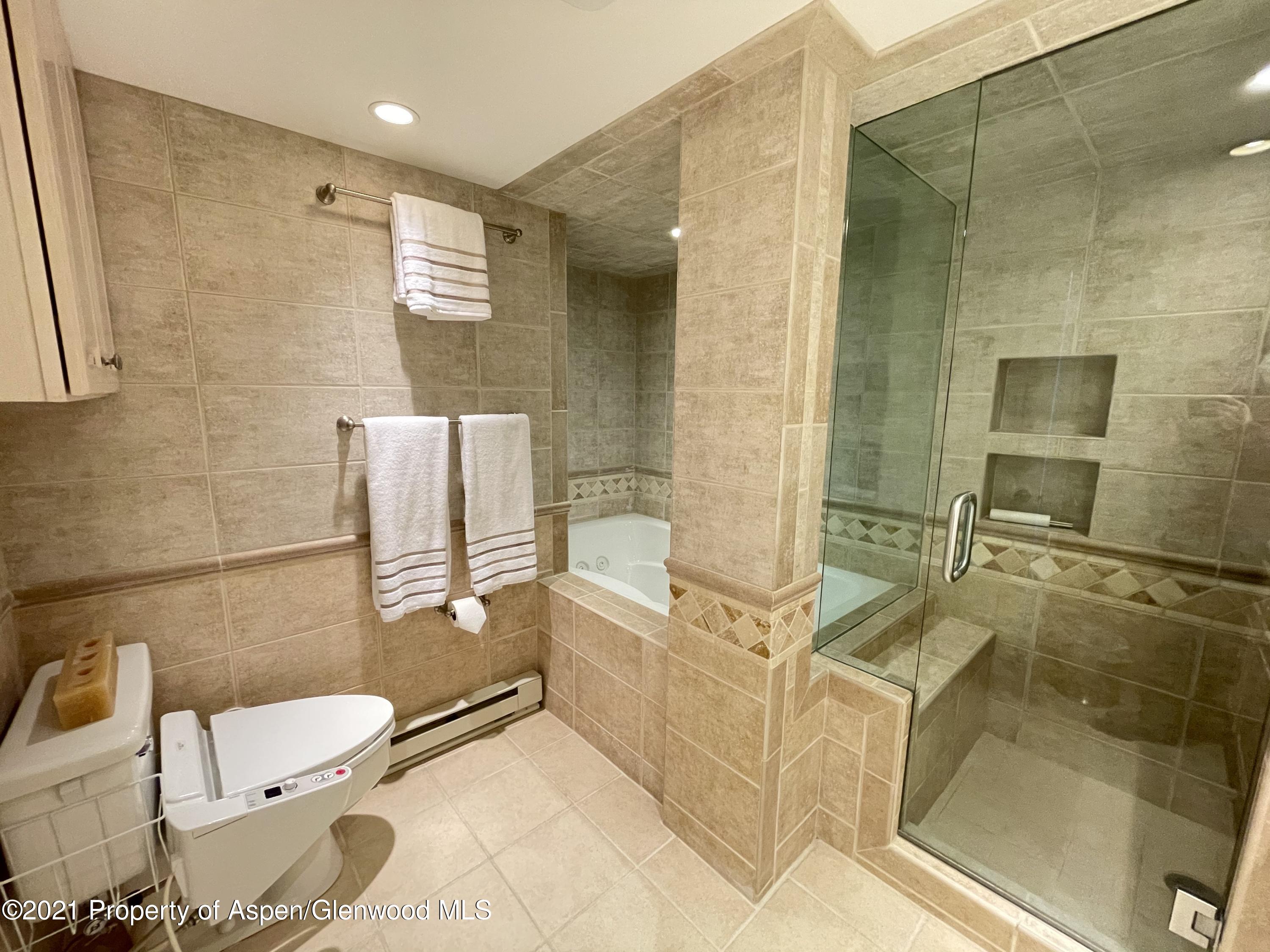 916 E Hopkins Avenue Aspen CO 81611