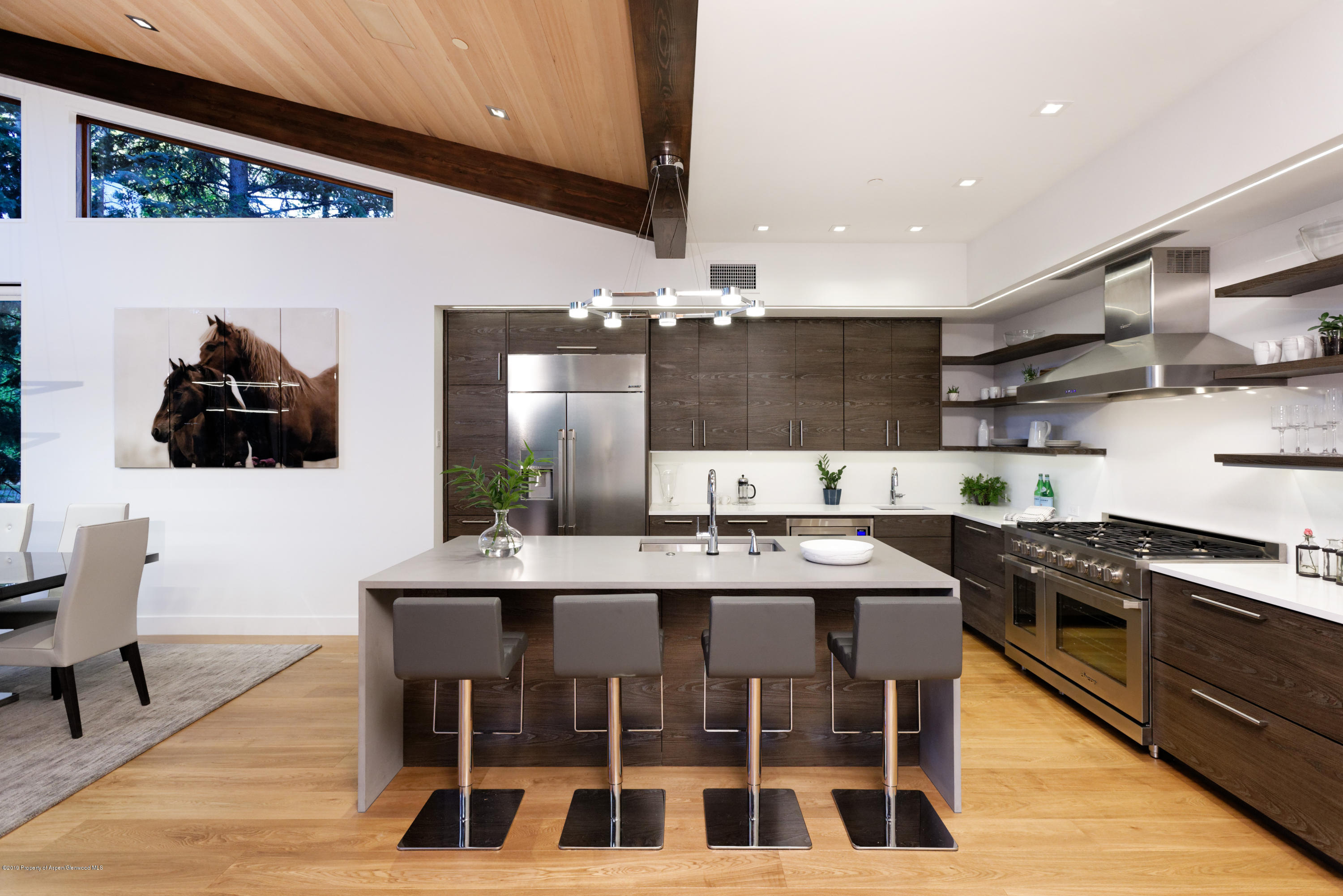 745 Castle Creek Drive Aspen CO 81611