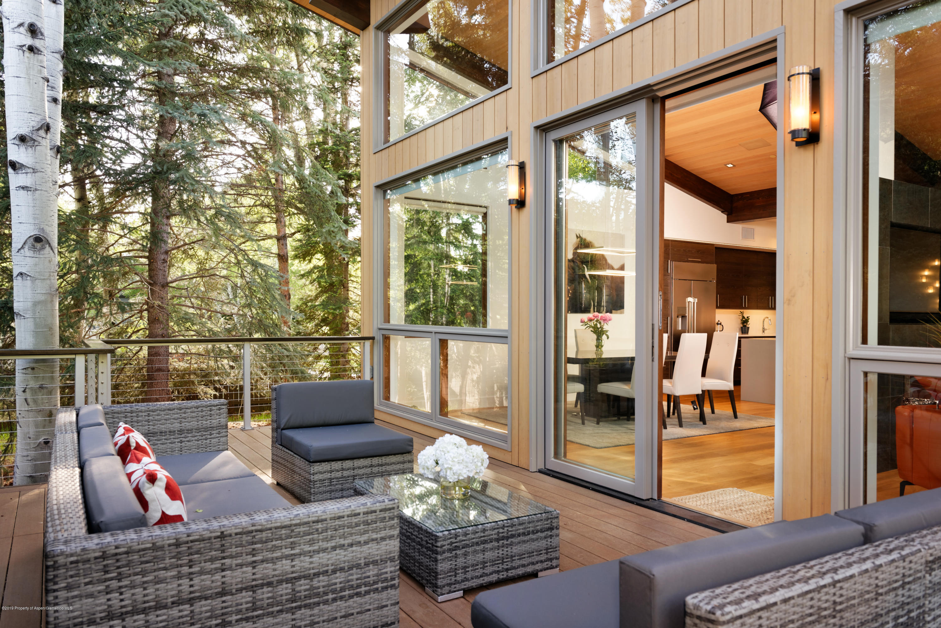 745 Castle Creek Drive Aspen CO 81611