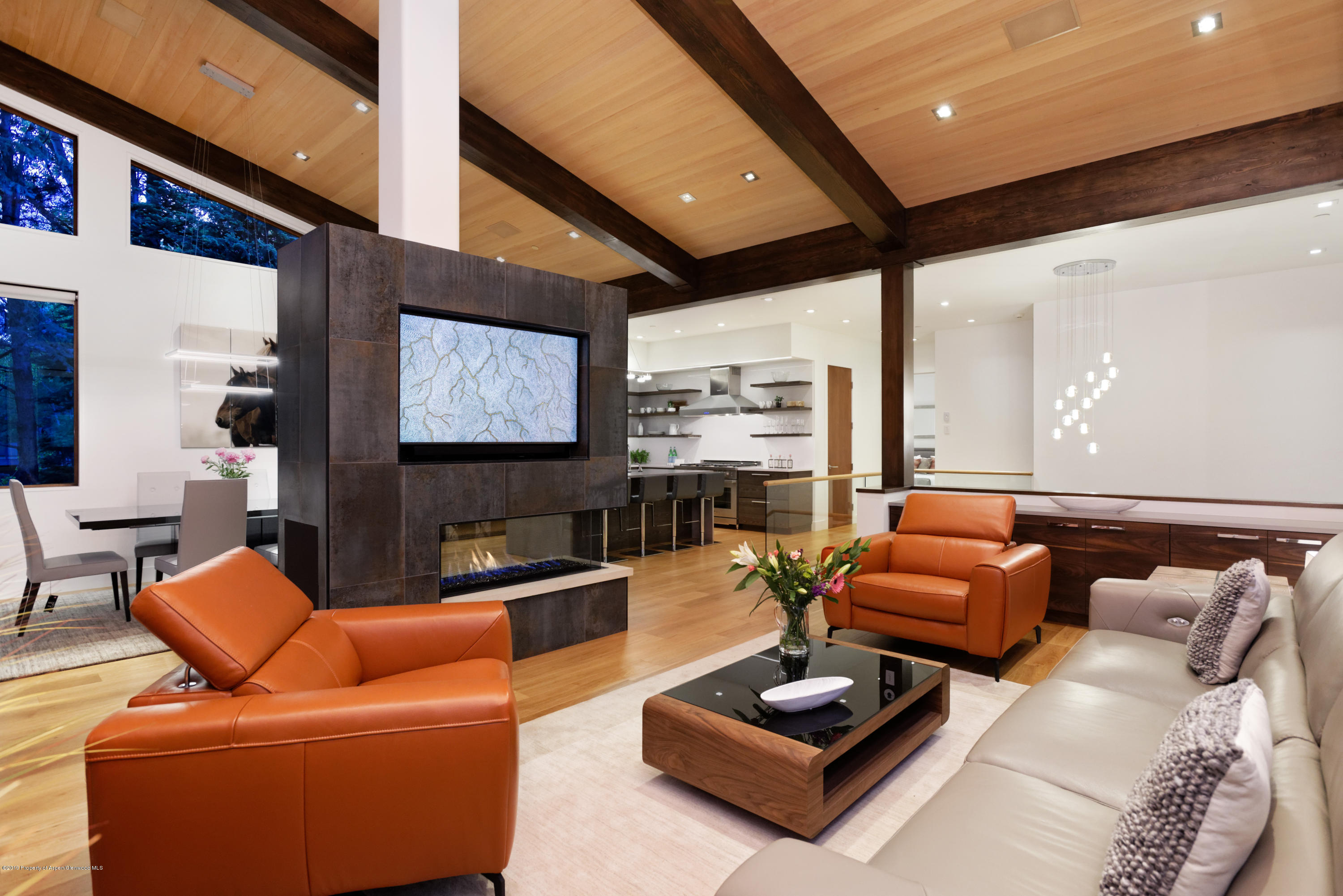 745 Castle Creek Drive Aspen CO 81611