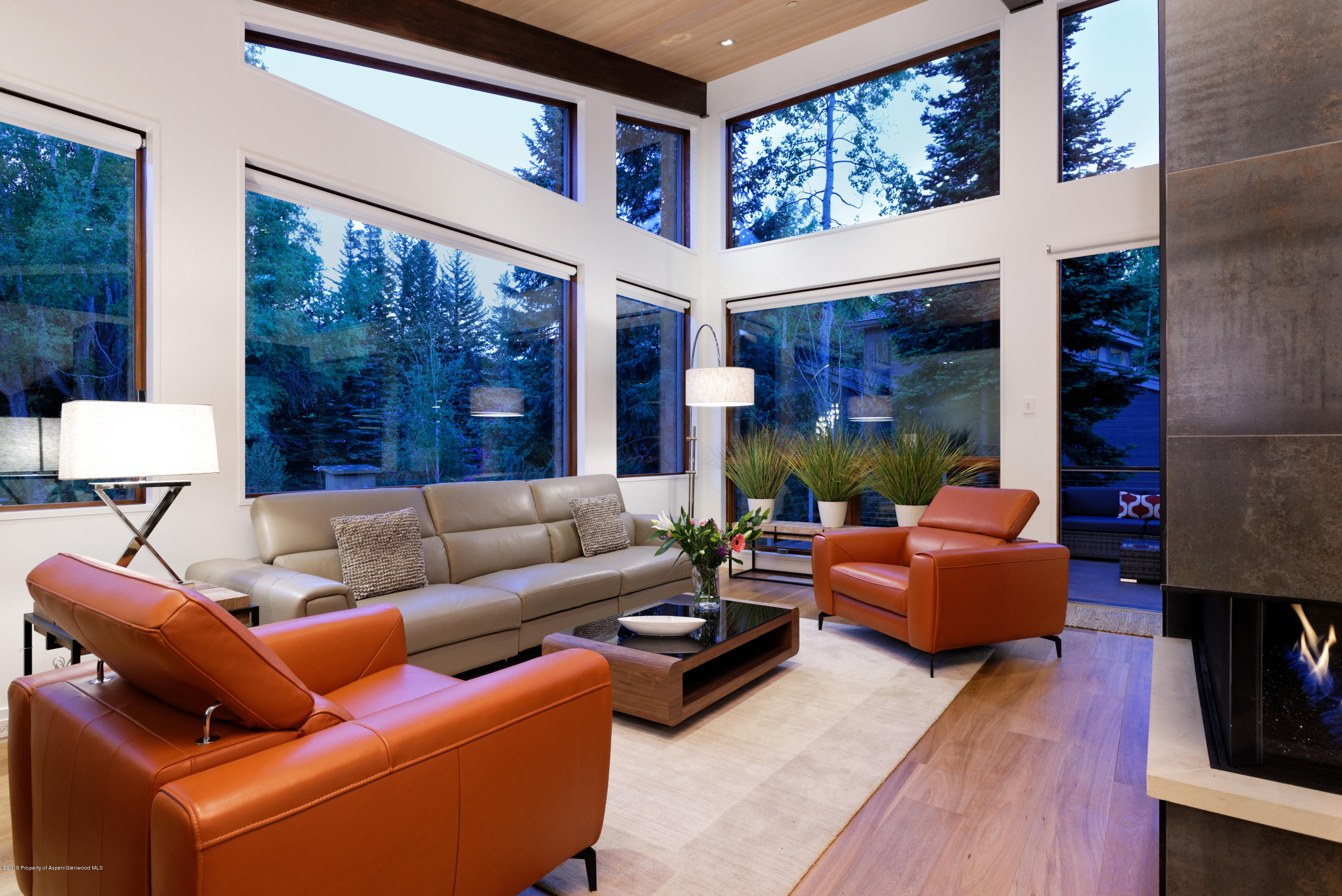 745 Castle Creek Drive Aspen CO 81611