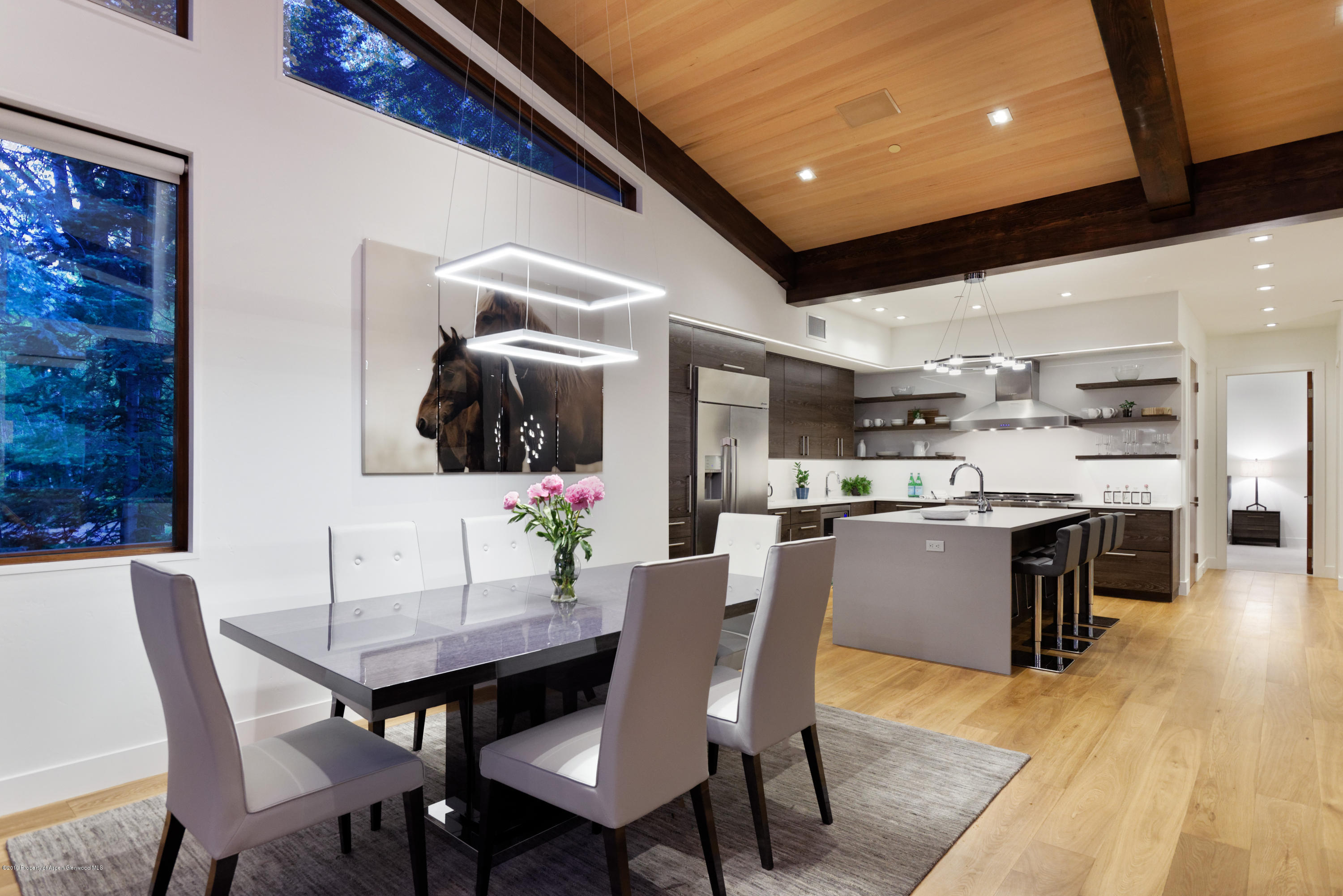 745 Castle Creek Drive Aspen CO 81611