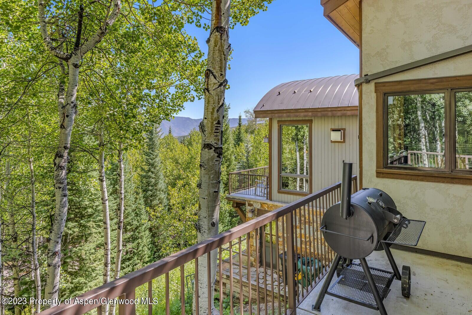 435 Faraway Road Snowmass Village CO 81615