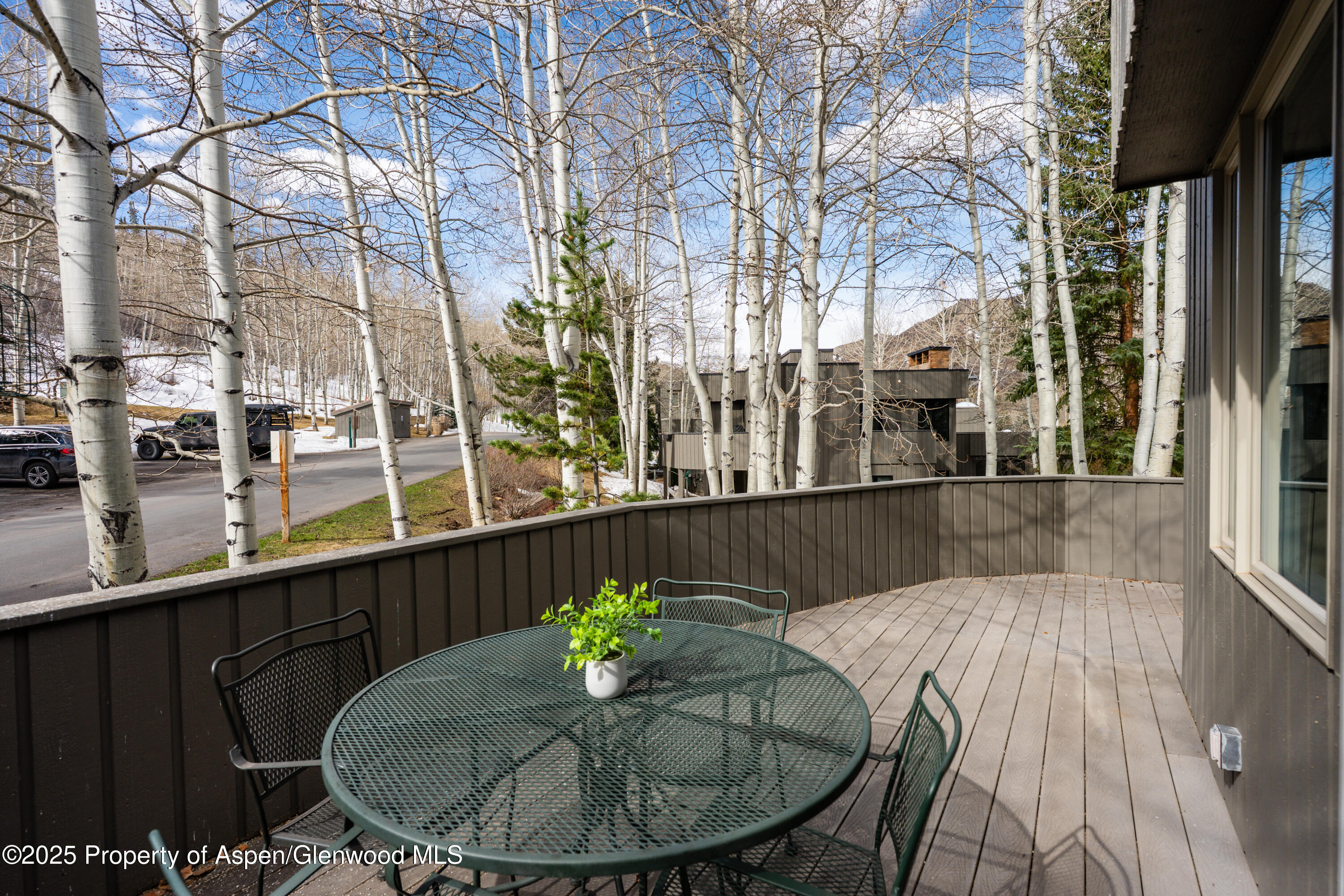 270 Meadow Ranch Snowmass Village CO 81615