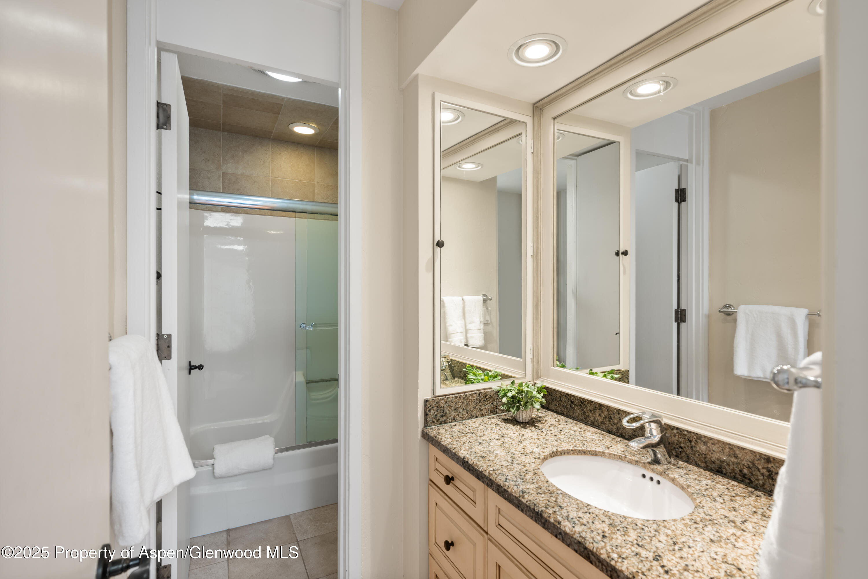 270 Meadow Ranch Snowmass Village CO 81615