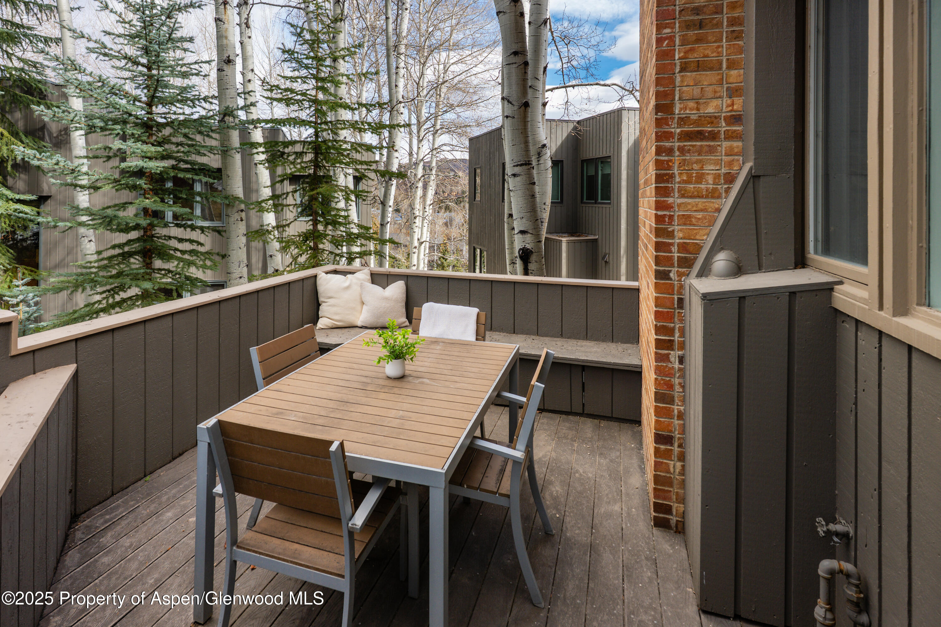 270 Meadow Ranch Snowmass Village CO 81615