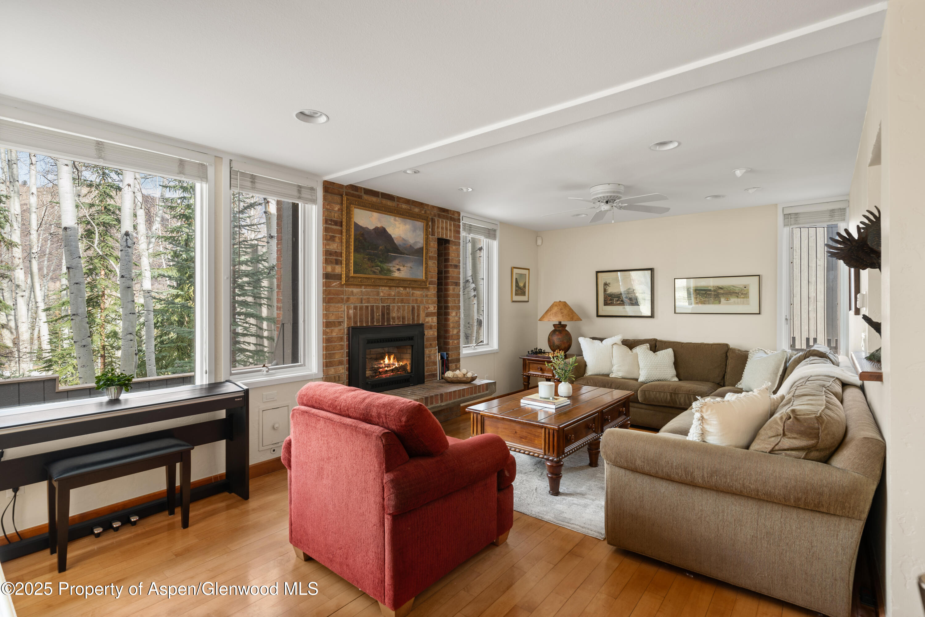 270 Meadow Ranch Snowmass Village CO 81615