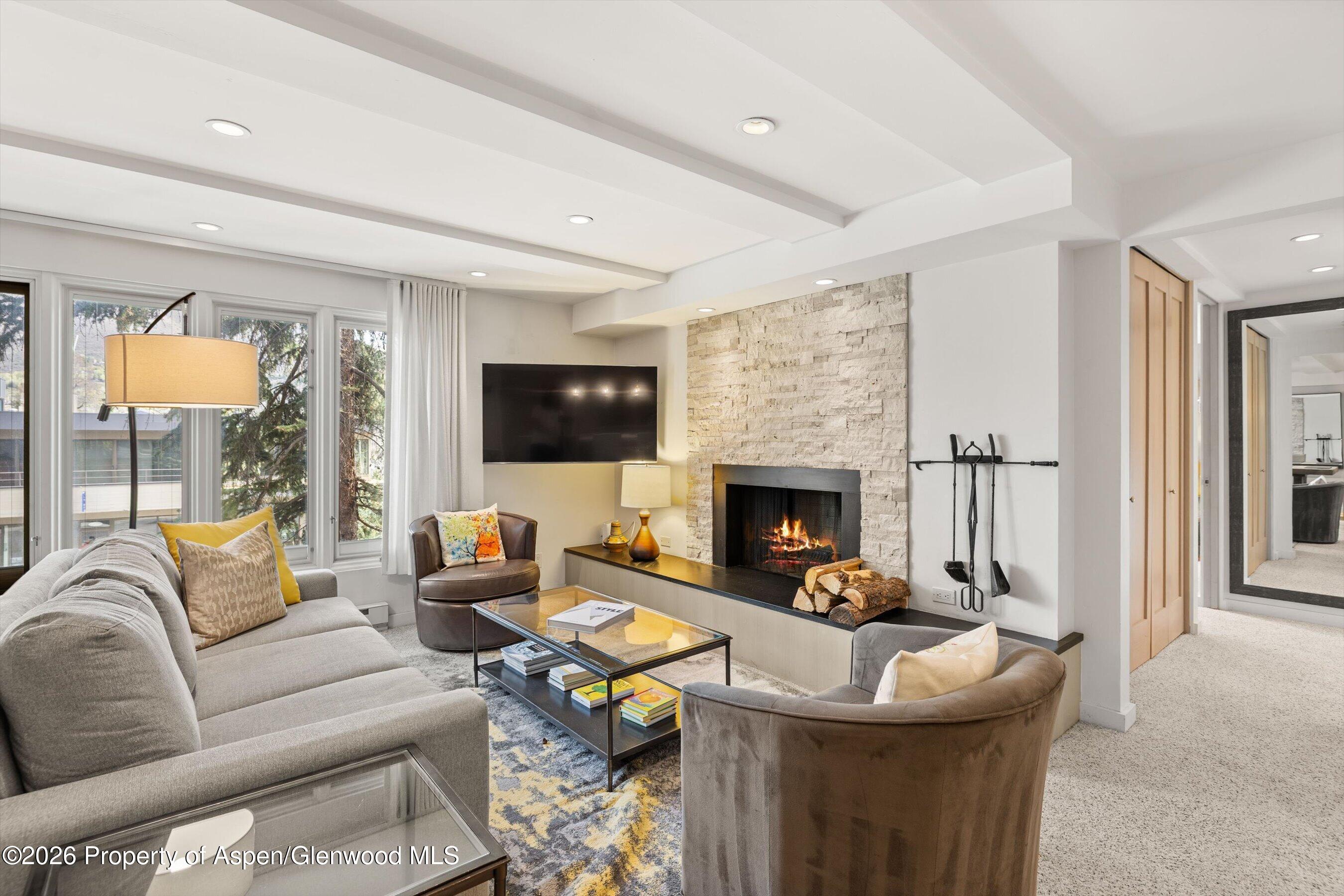 Aspen CO, 731 E Durant Avenue, Unit 10