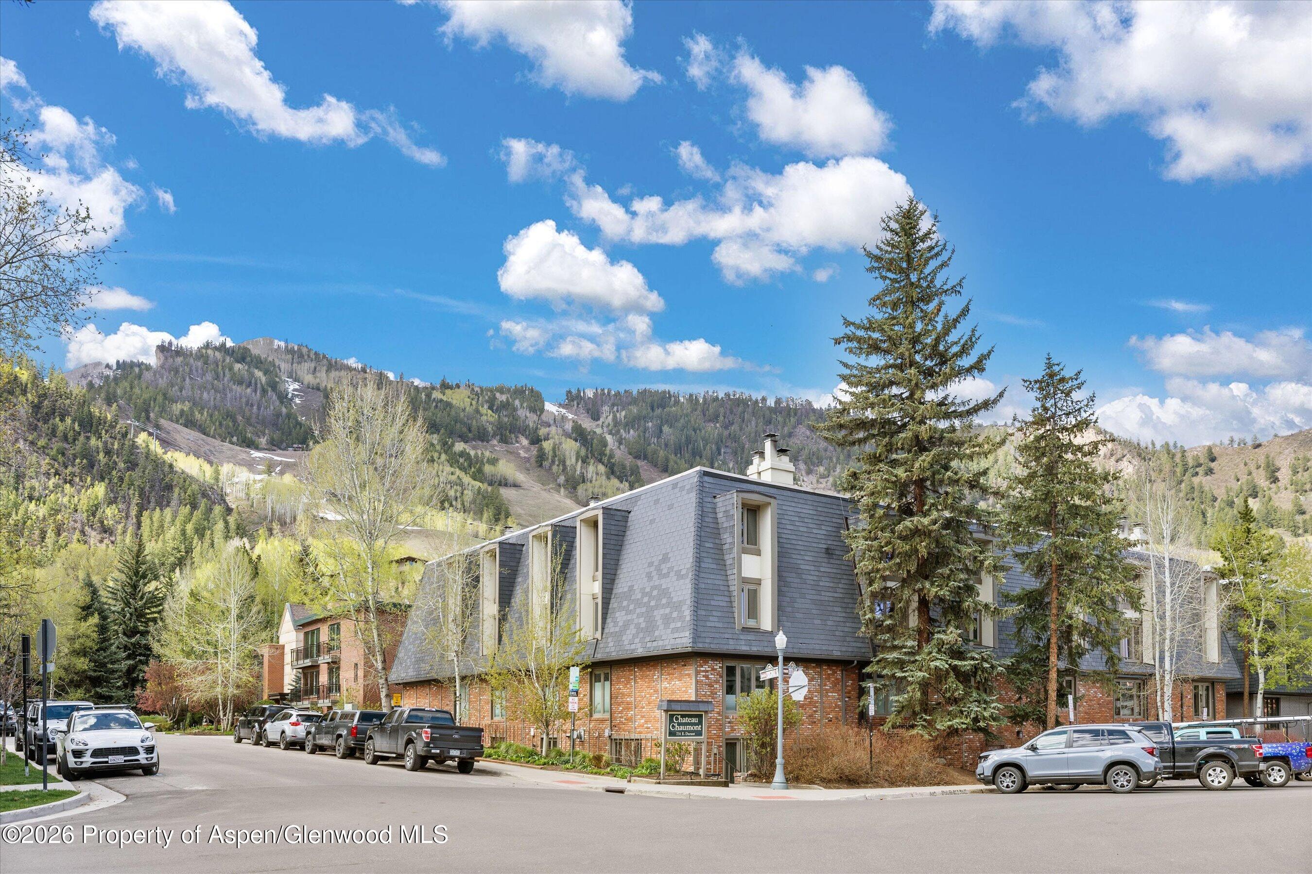 731 E Durant Avenue Aspen CO 81611