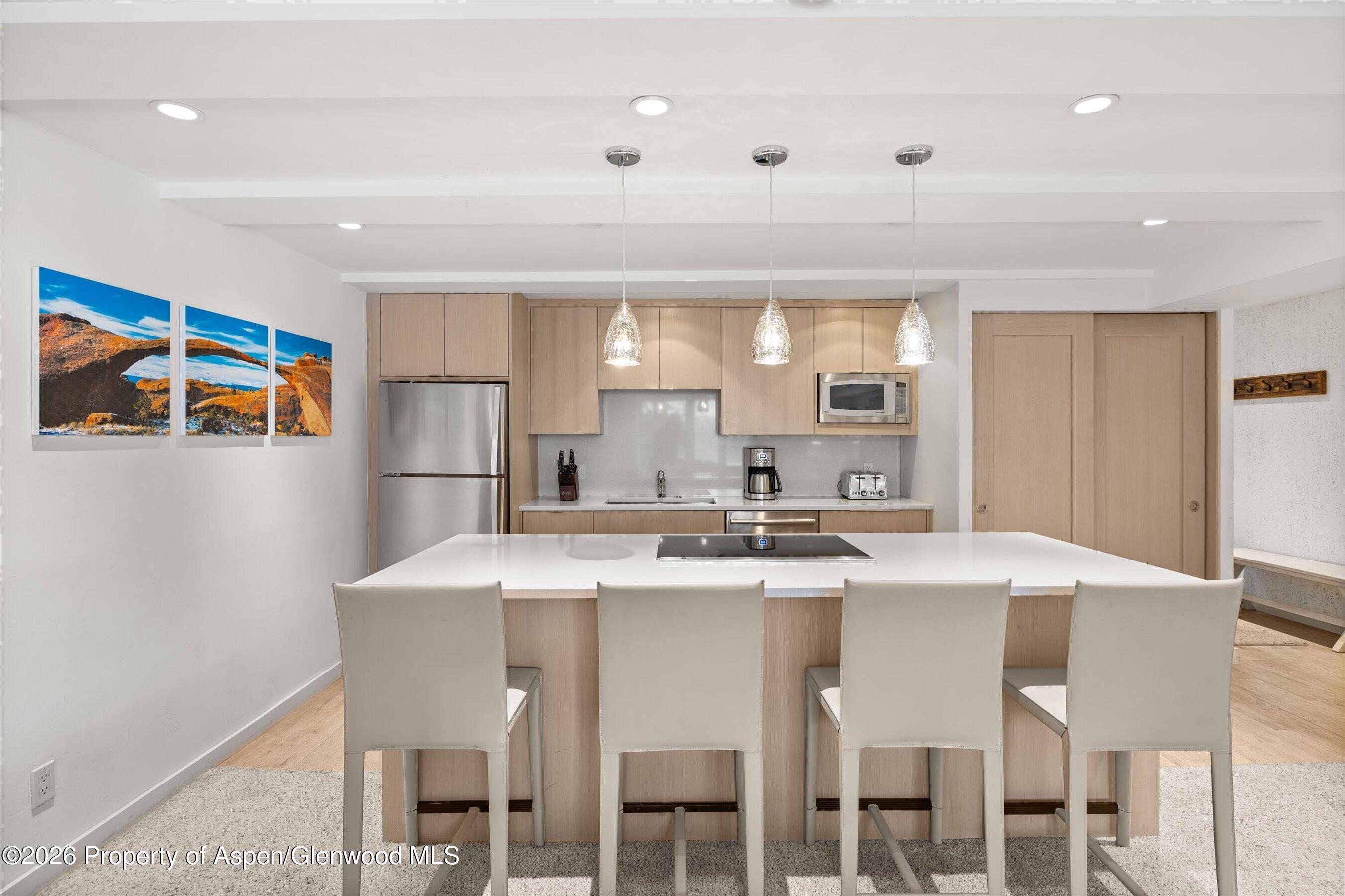 731 E Durant Avenue Aspen CO 81611